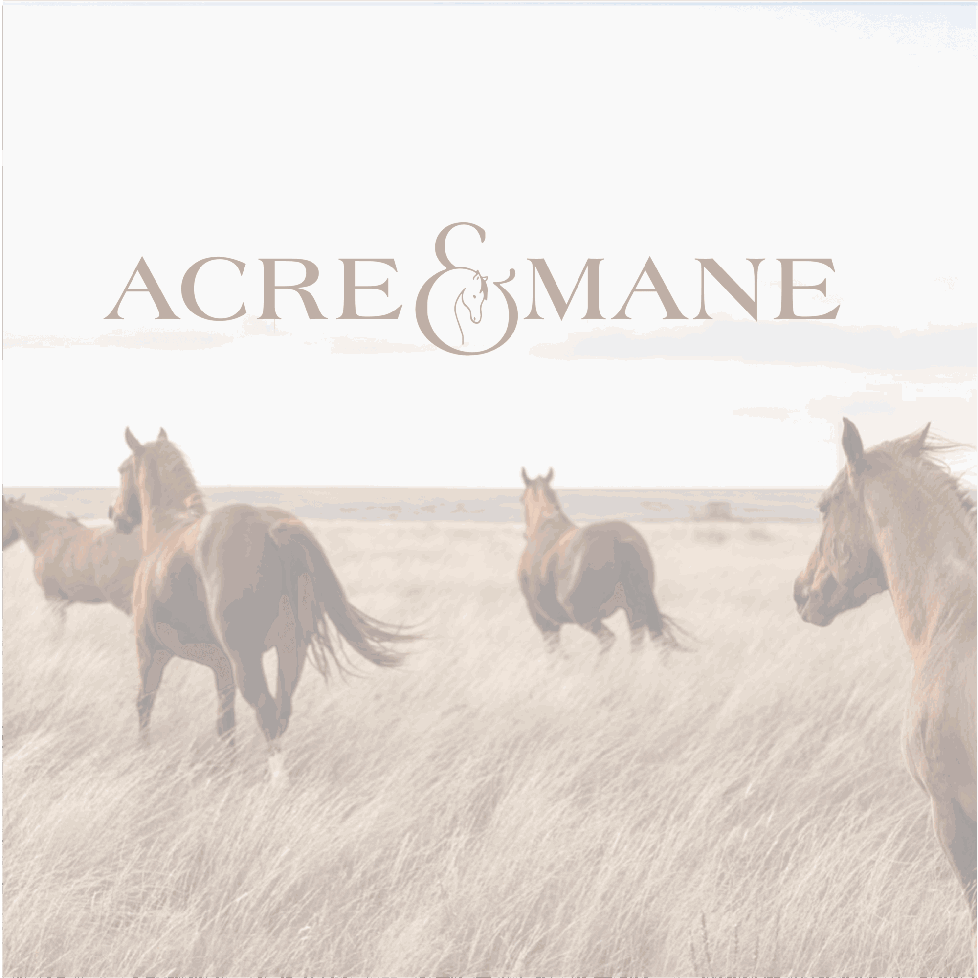 Four horses standing in a grassy field with a cloudy sky, and the text 'ACRE & MANE' above them.