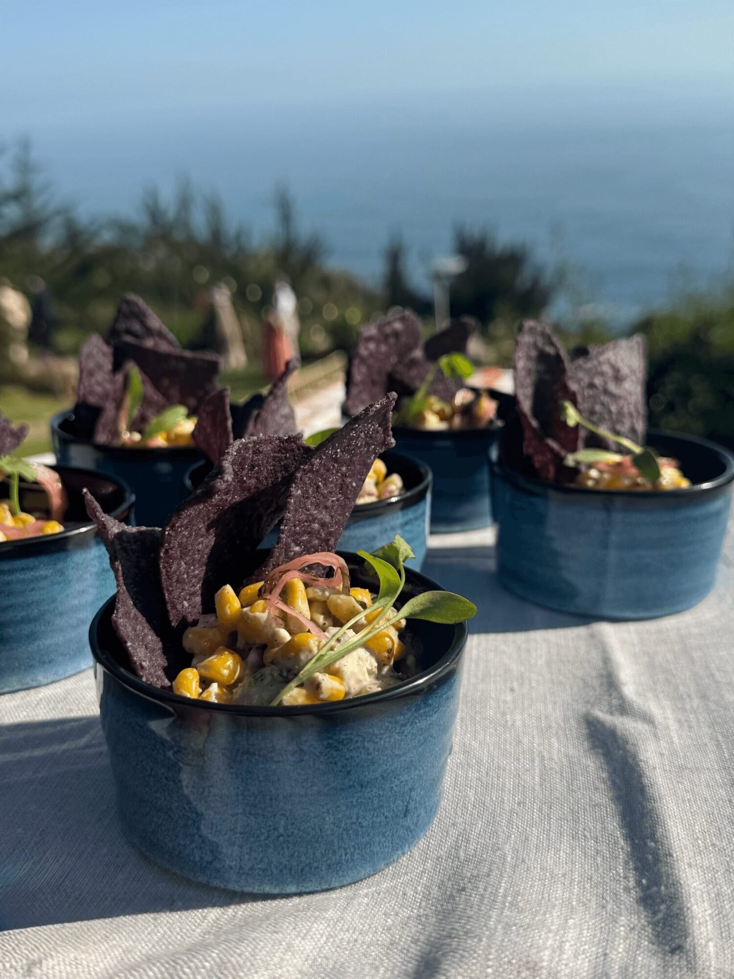 Three bowls of food with dark chips, vegetables, and toppings on a table outdoors, with a scenic ocean view in the background.