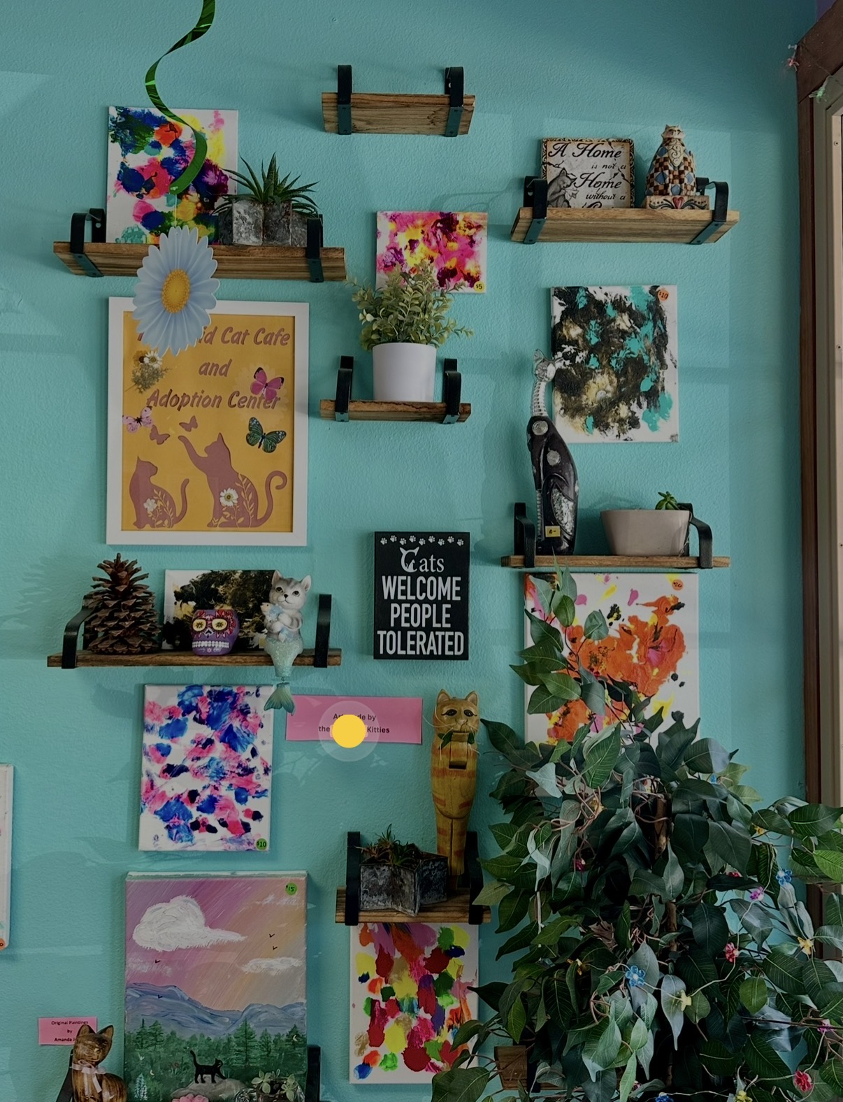 Decorative wall with shelves, plants, artwork, and a large leafy plant in front, against a teal background.