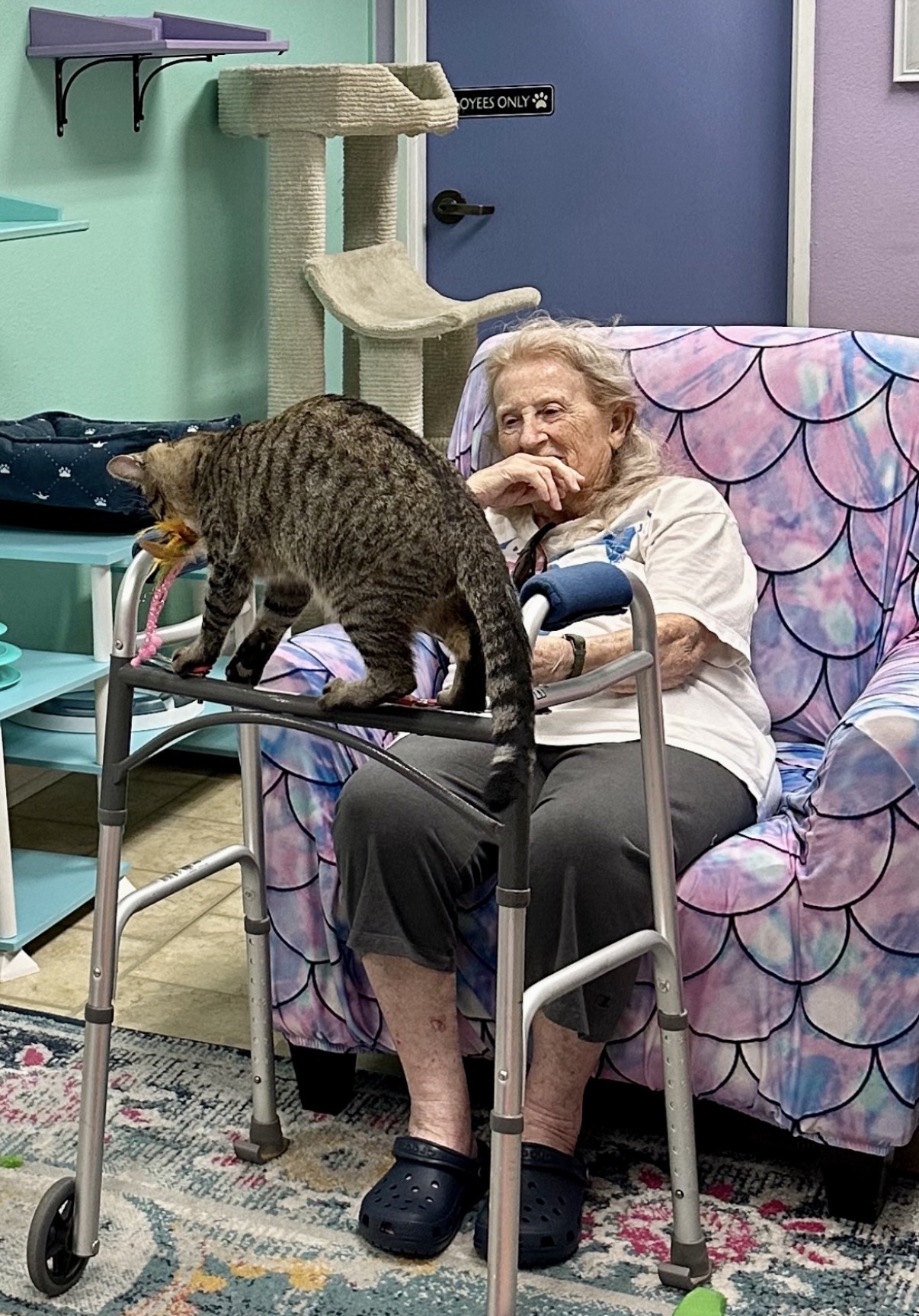 Elderly woman sitting in a chair with a cat on her lap, in a room with colorful walls and furniture.
