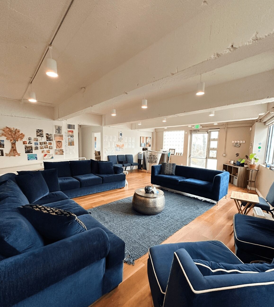 Living room with navy blue sofas, a gray rug, wooden floor, and large windows, decorated with photos and plants.