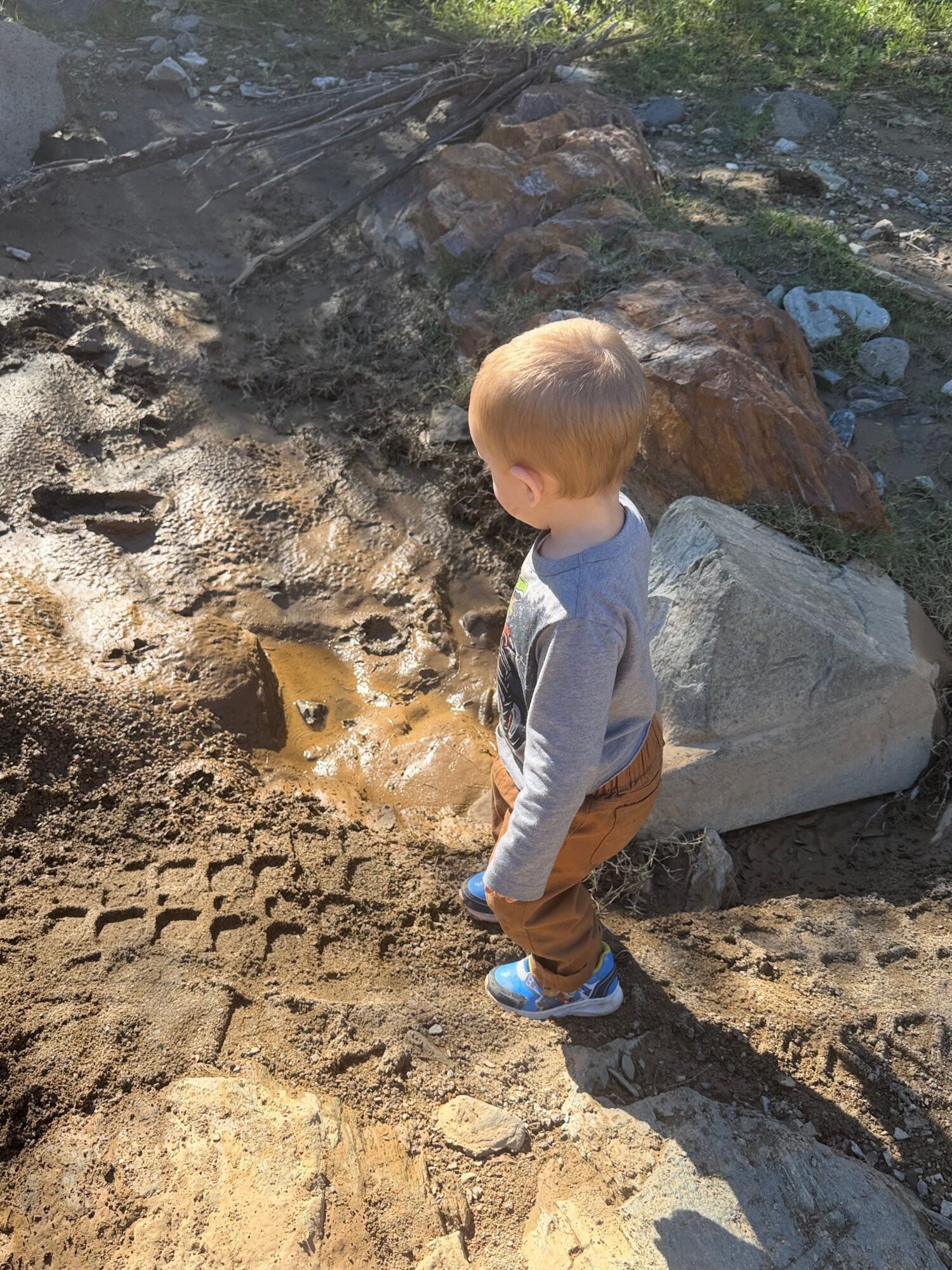 Child with blonde hair in a gray jacket and blue shoes stands on dirt near rocks and a small stream.