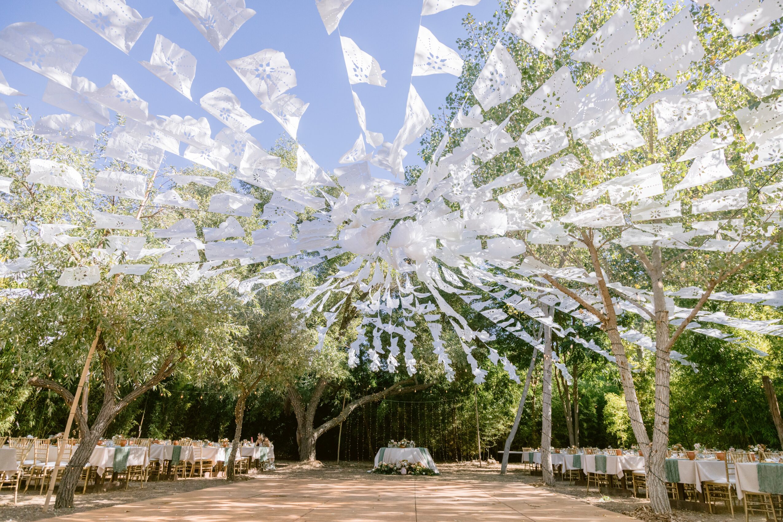Decorative white paper lanterns hanging above outdoor seating area with trees and tables, sunny day.