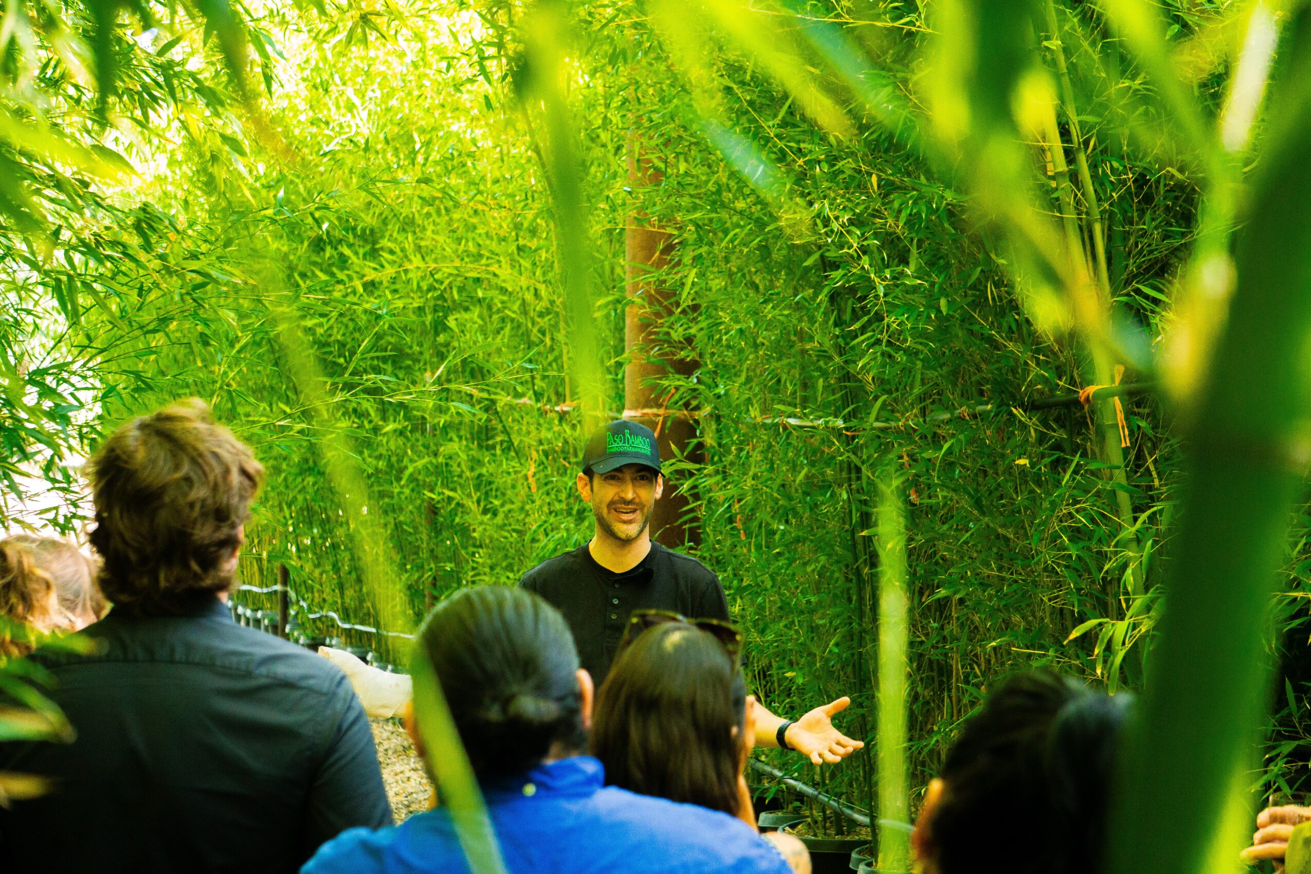 Person speaking to a group in a lush green bamboo forest, with sunlight filtering through the leaves.