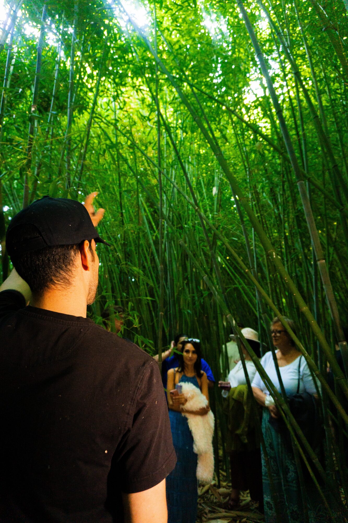 Person with short dark hair and glasses pointing at tall green bamboo stalks, with three other people in the background.