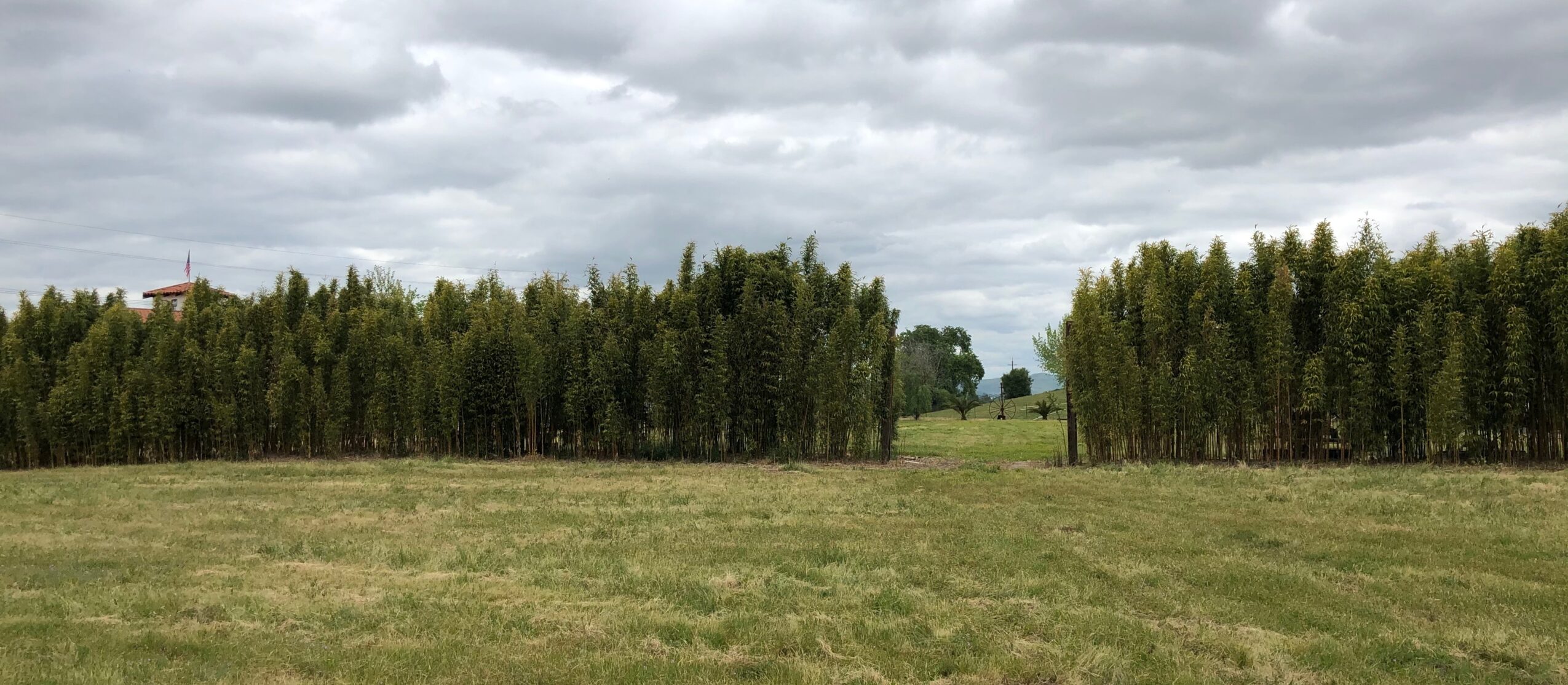 Open grassy field with trees and cloudy sky in the background.