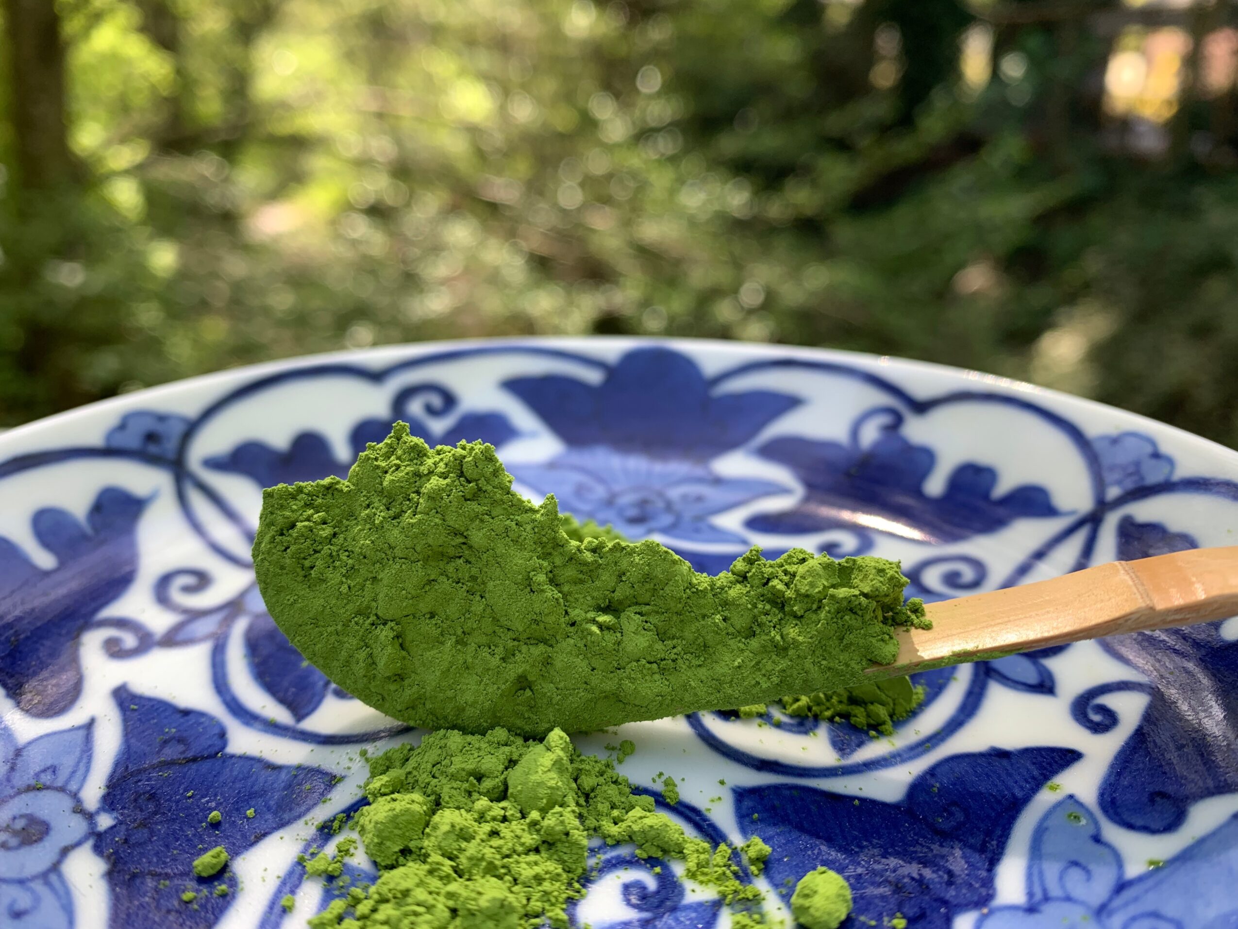Green matcha-flavored ice cream on a wooden stick, on a blue and white patterned plate, outdoors with trees in background.