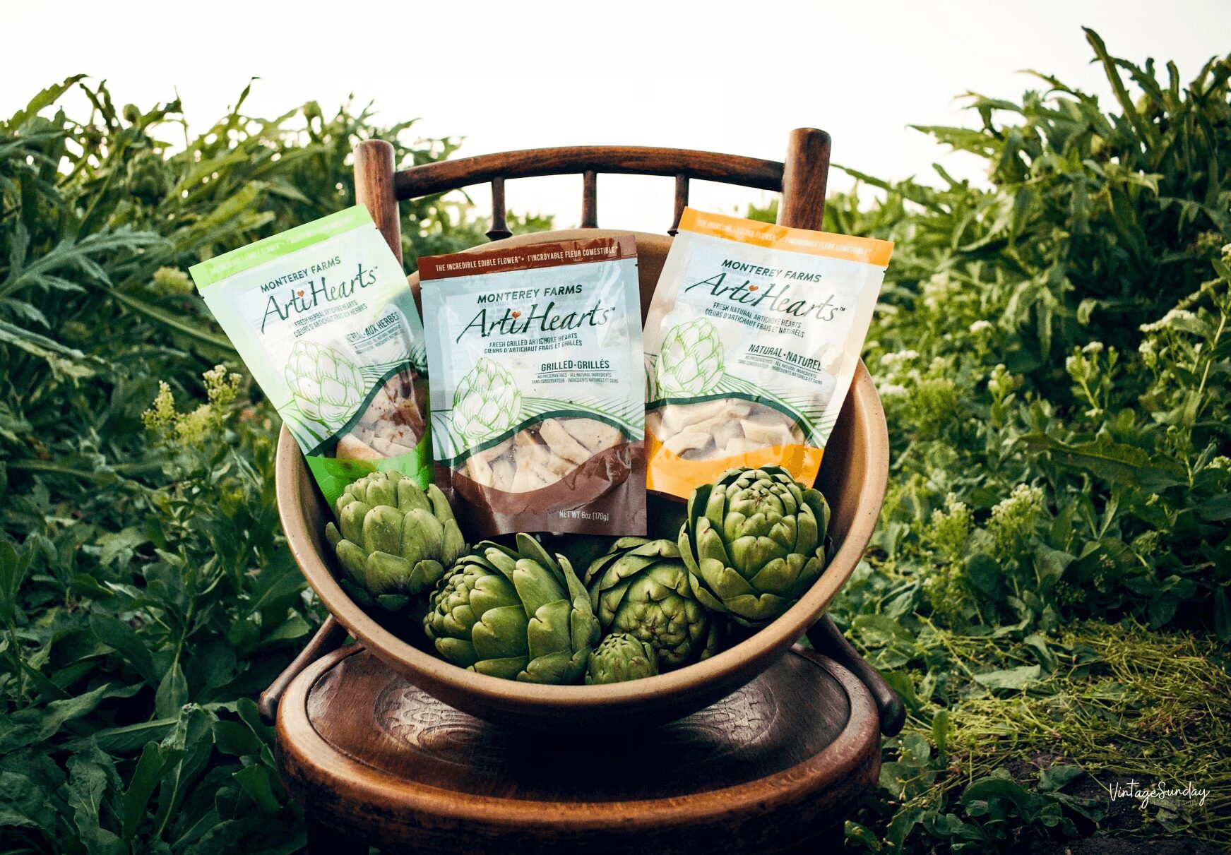 Bowl of artichoke vegetable seeds surrounded by green plants outdoors, on a wooden chair, with seed packets labeled 'ArtHeart'.