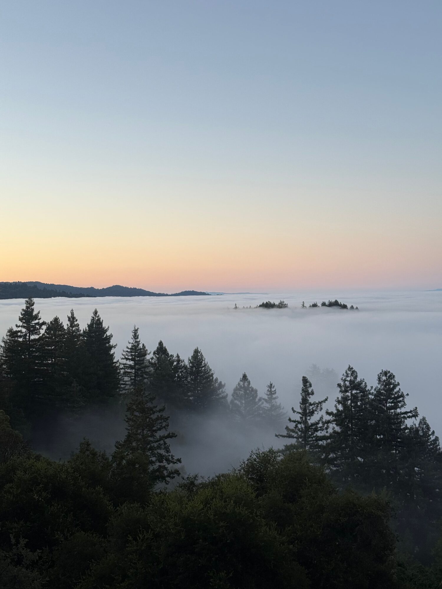 Sunset over a body of water with trees in the foreground, sky transitioning from light to dark, mist or fog near trees.