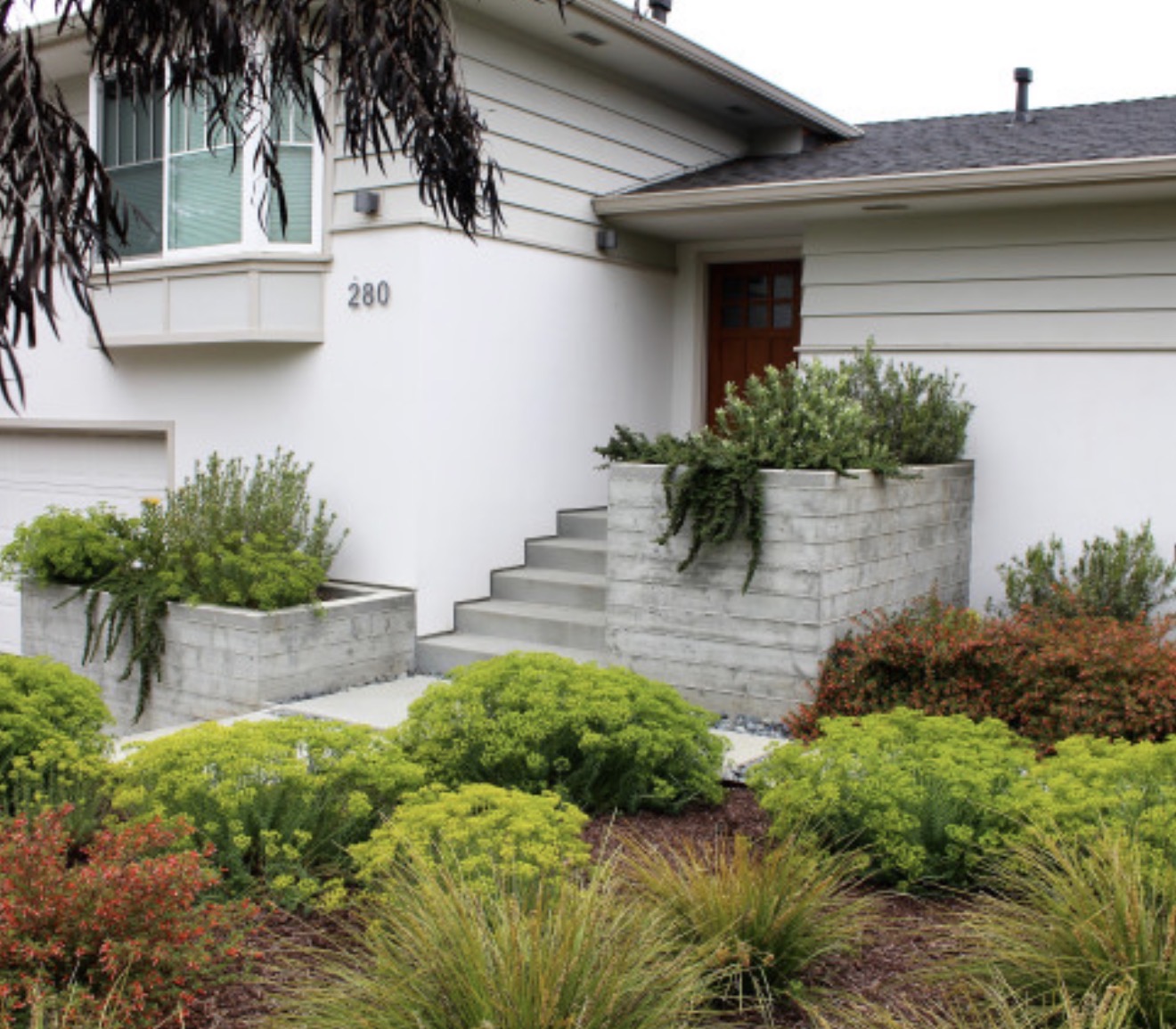 Front entrance of a house with stairs, surrounded by green bushes and plants, white exterior walls, and a wooden door.