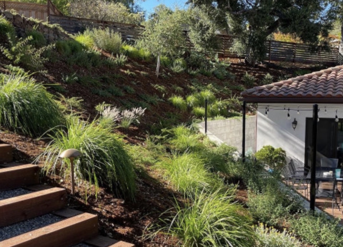 Sloped garden with plants, trees, and stairs leading up, adjacent to a house with a tiled roof and patio.