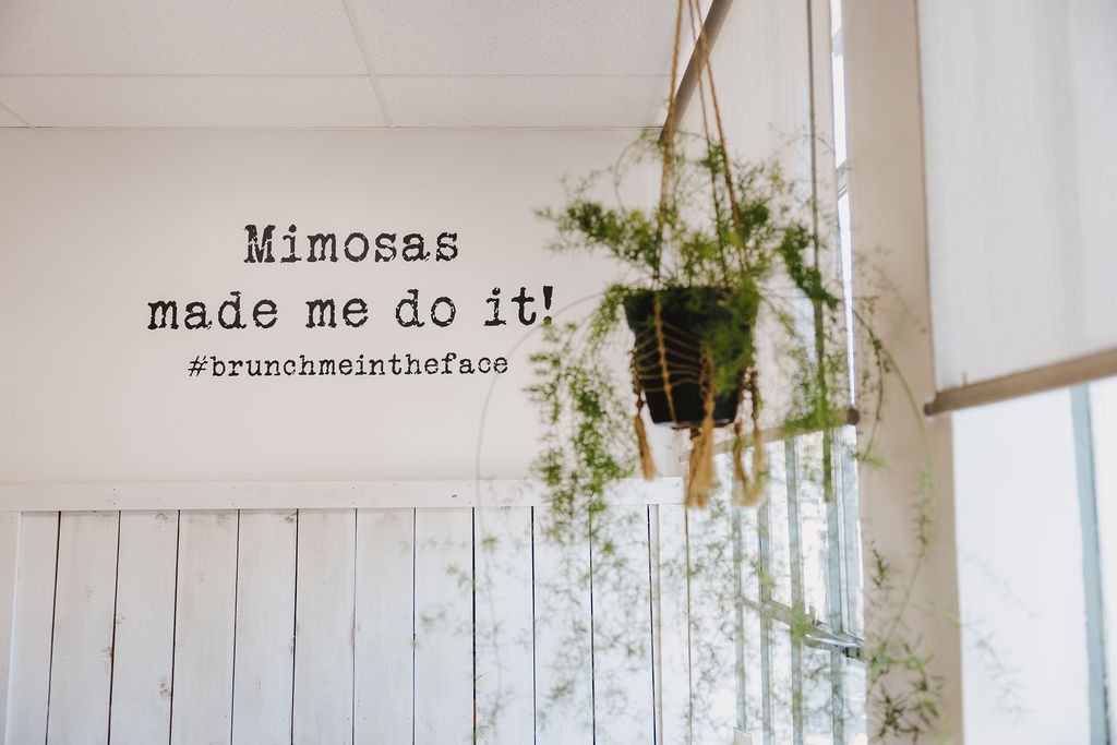 White wall with black text reading 'Mimosas made me do it! #brunchmeintheface', and a hanging plant near a window.