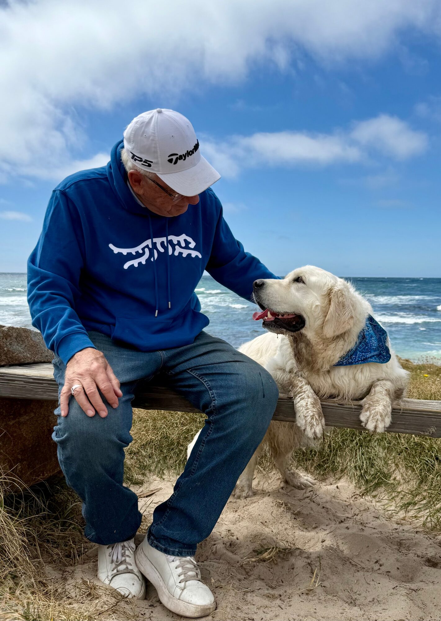 Person sitting on a bench at the beach with a dog, both looking at each other, ocean and sky in background.