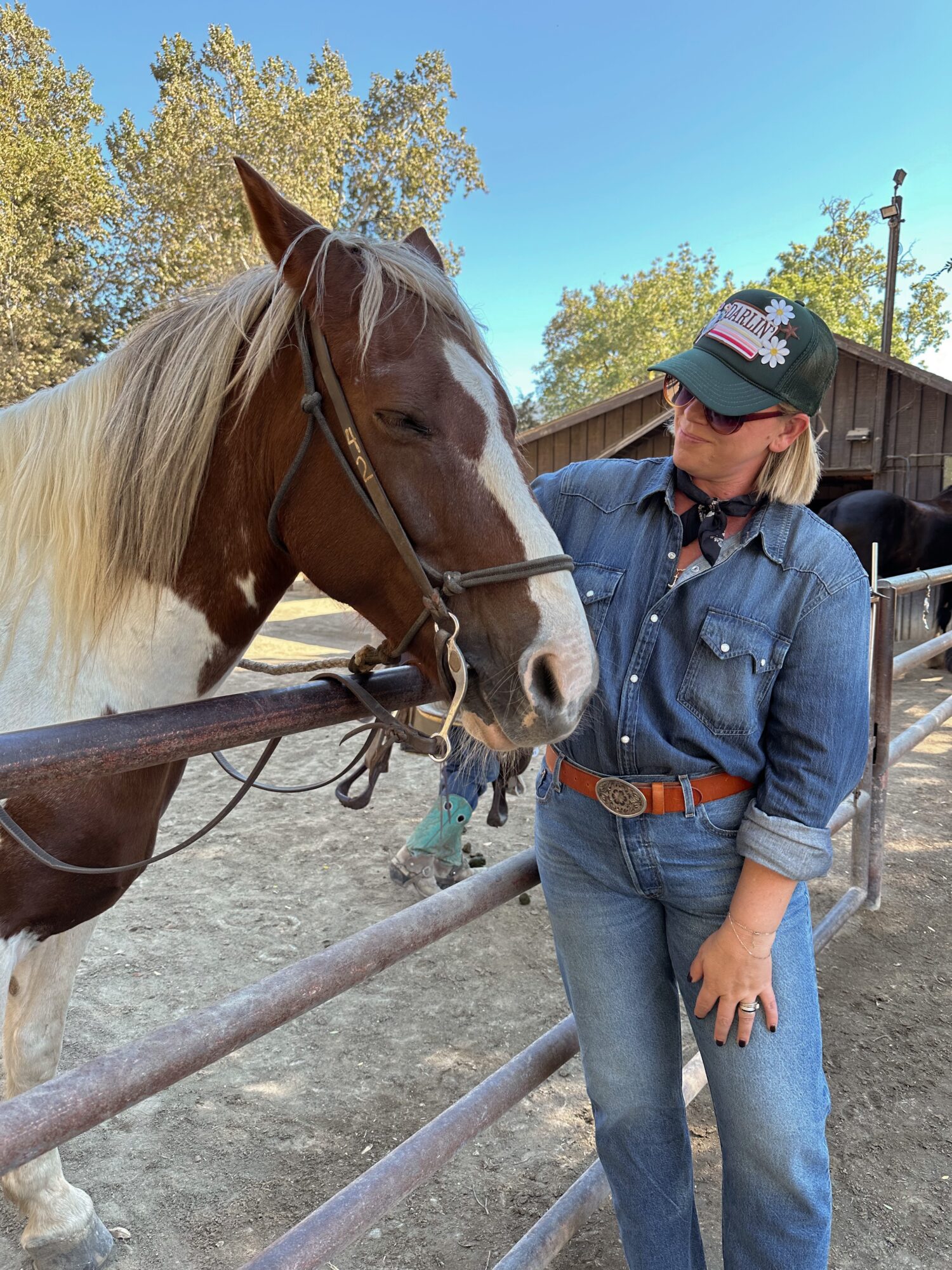 Person in denim jacket and cap interacts with a brown and white horse at a fenced outdoor area.