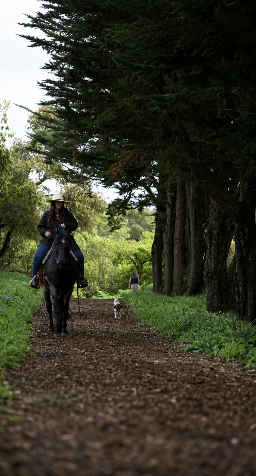 Person riding a horse on a dirt path surrounded by tall trees and greenery.