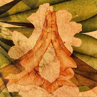 Two hands pressed together in prayer or greeting, surrounded by green leaves and a flower, in a natural setting.