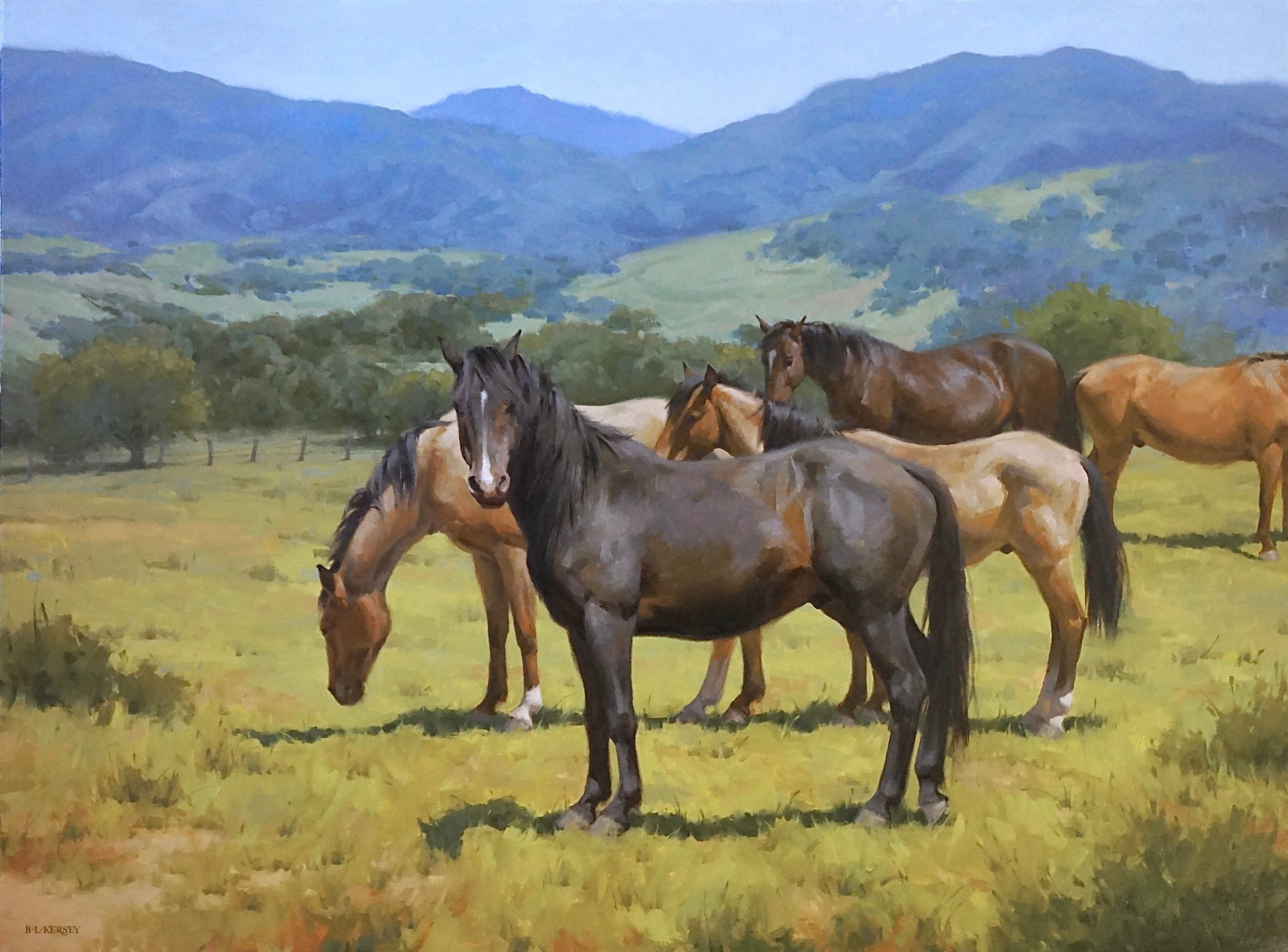 Group of horses grazing in a green field with mountains in the background, under a blue sky.