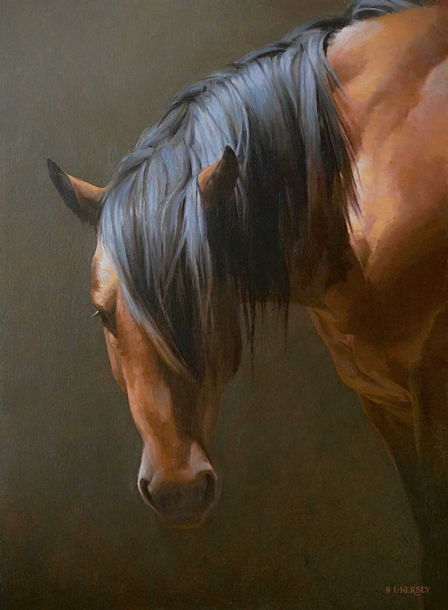 A brown horse with a black mane and ears, facing downward, against a dark background.
