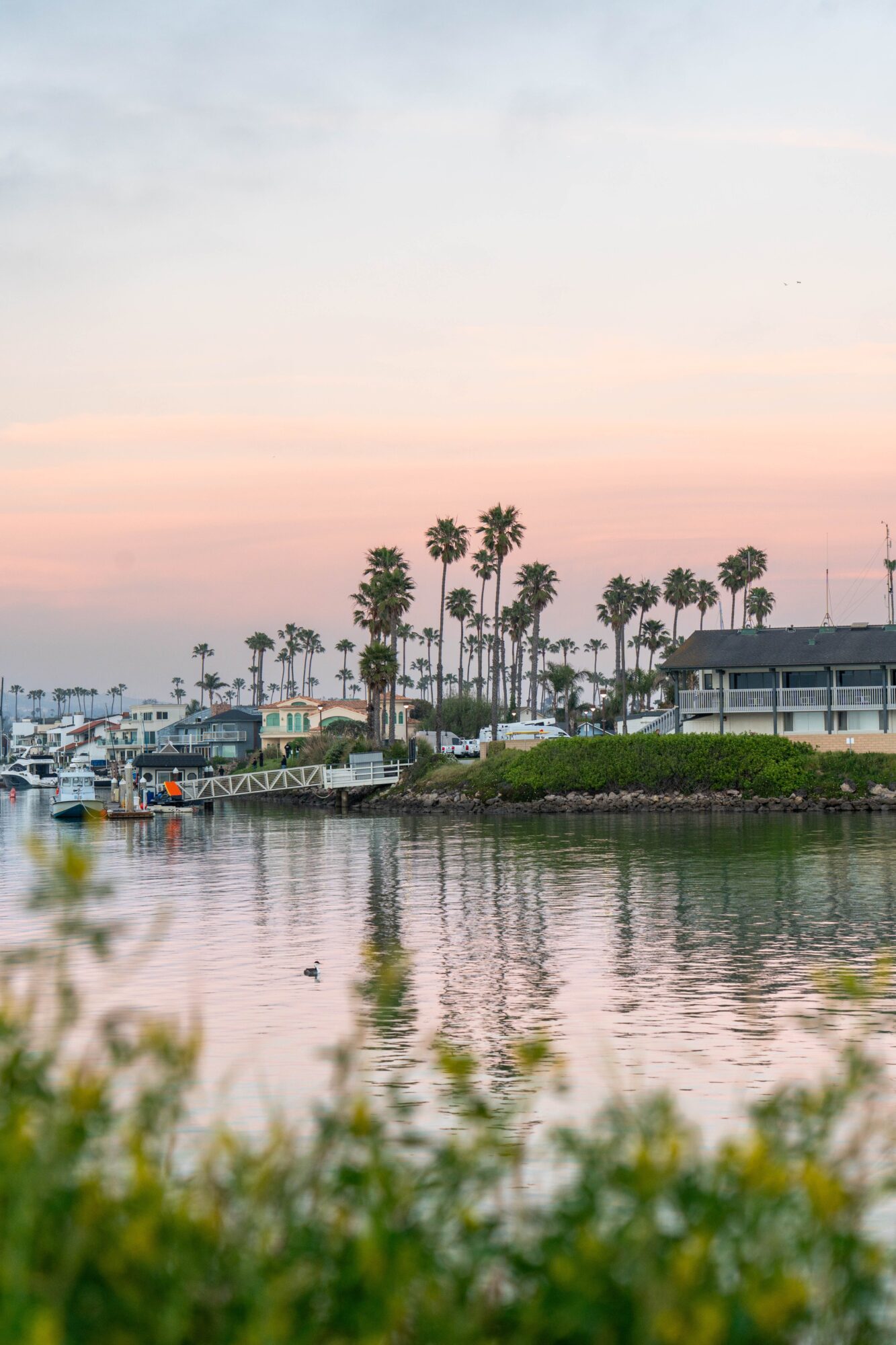 Waterfront scene with boats, palm trees, and a building under a pastel sky at sunset.