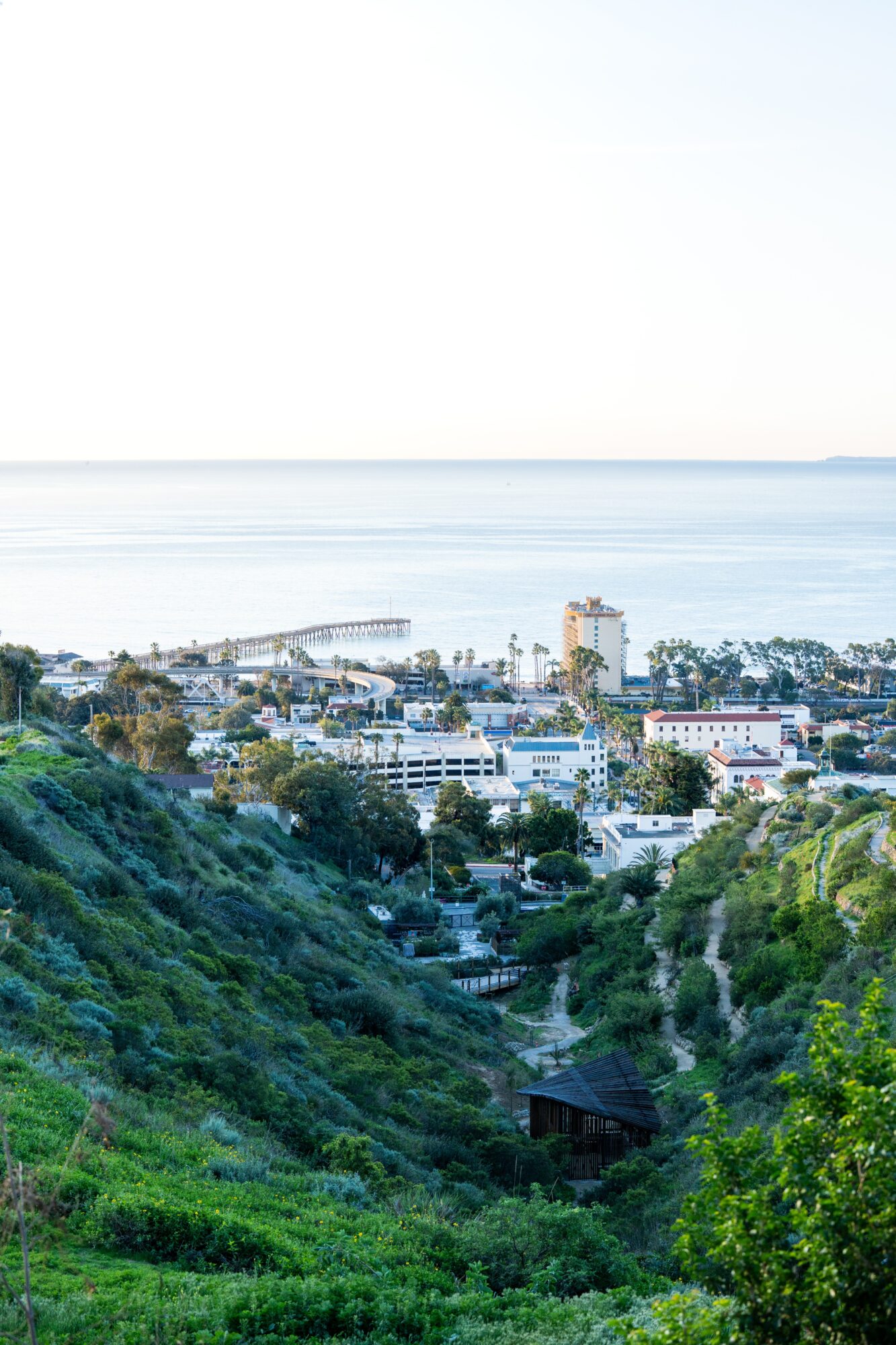 Coastal cityscape with buildings, greenery, and a pier extending into the water, under a clear sky.