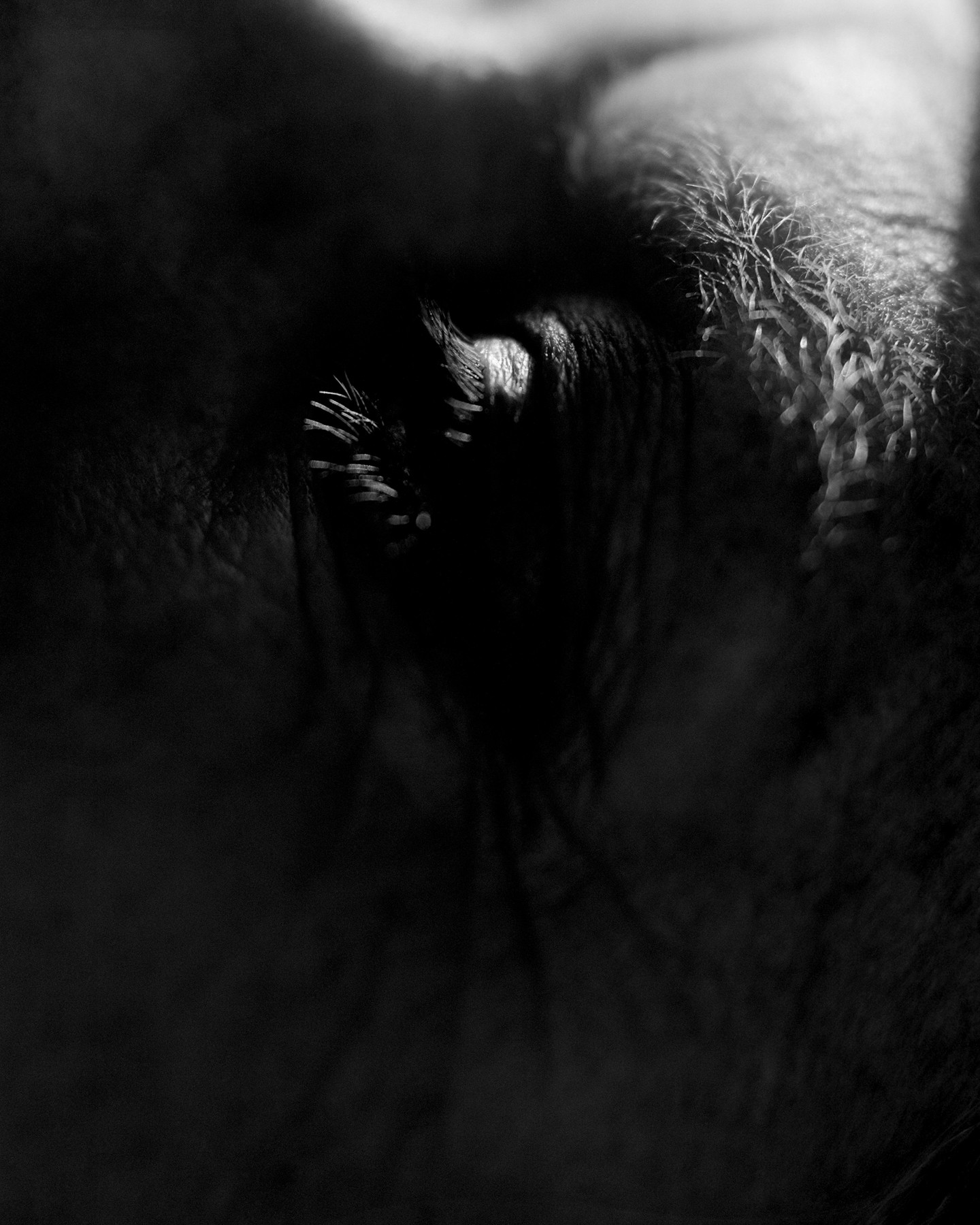 Close-up of a person's eye with long eyelashes, in black and white, showing detailed skin texture.