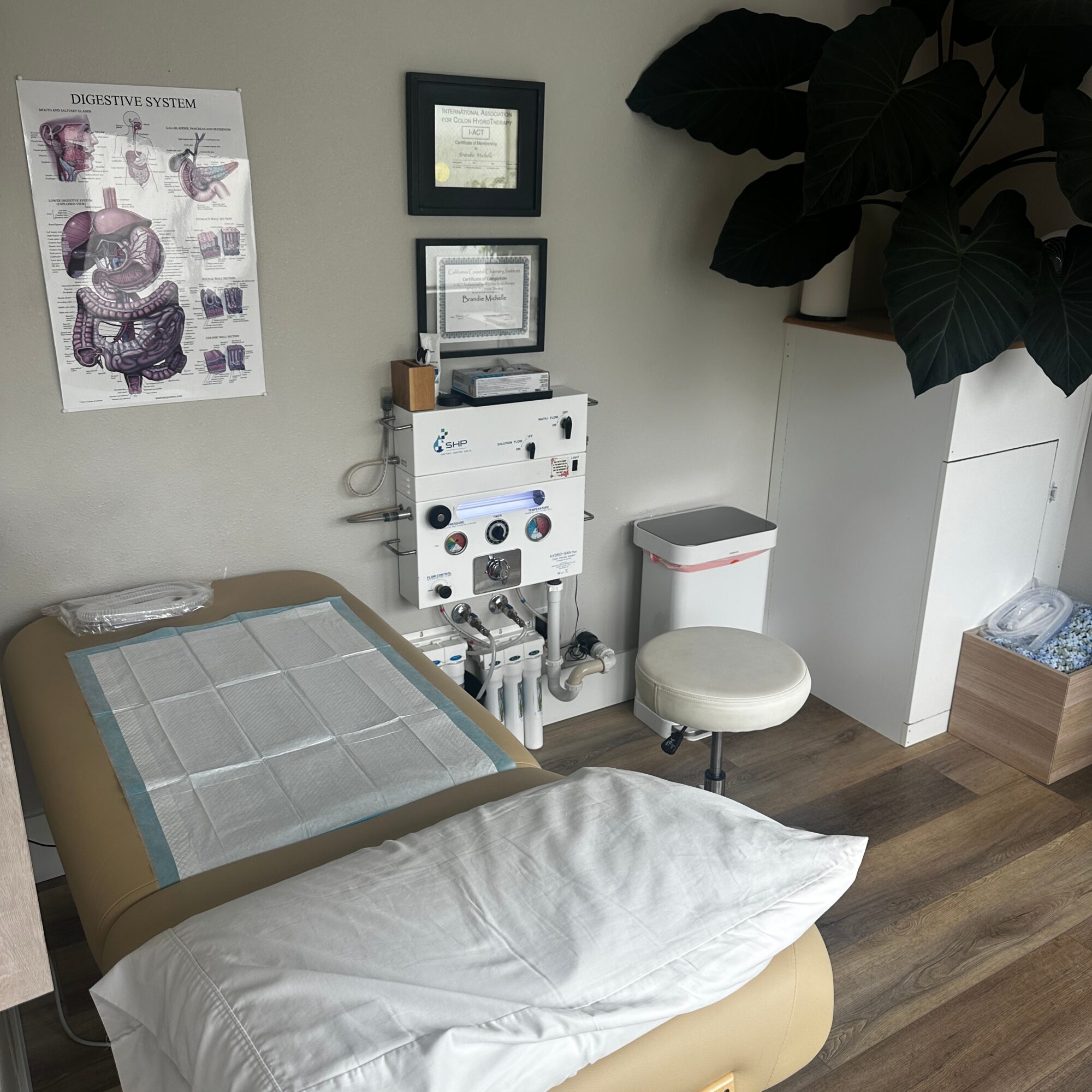 Medical examination room with a bed, pillows, framed certificates, a poster, and a large plant in the corner.
