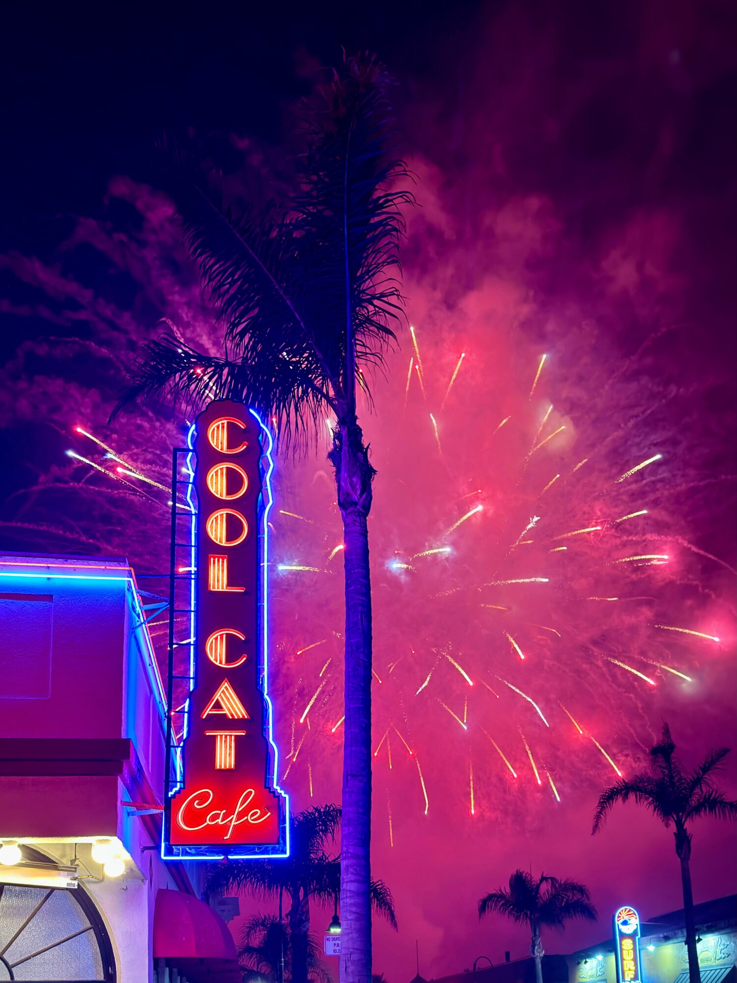 Night scene with fireworks, palm trees, and a neon sign for Cool Cat Cafe against a dark sky.