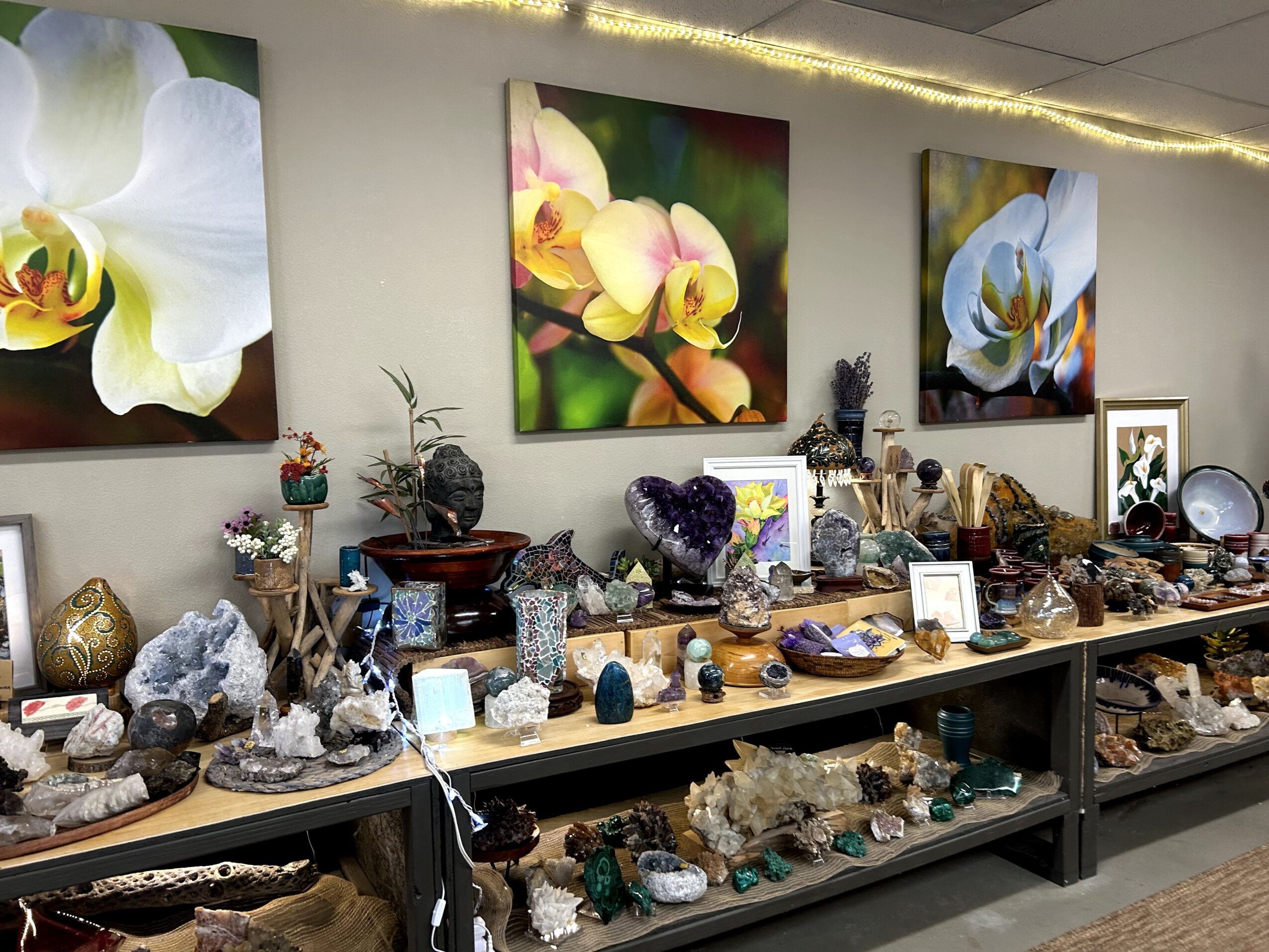 Display of various rocks, minerals, and crystals on a table with three floral paintings on the wall behind.
