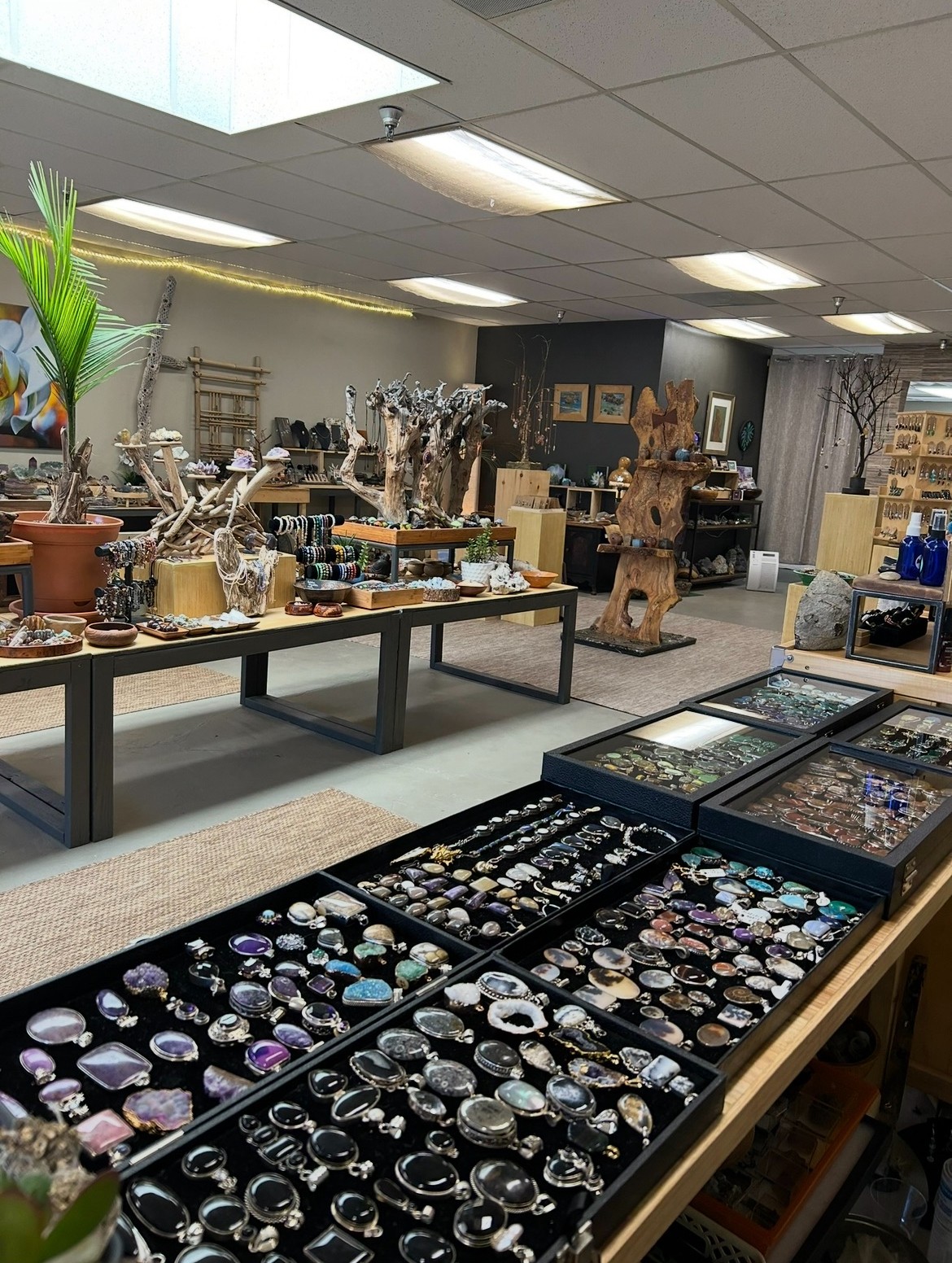 Room with display tables of jewelry and decorative items, plants, and shelves in background, ceiling lights overhead.