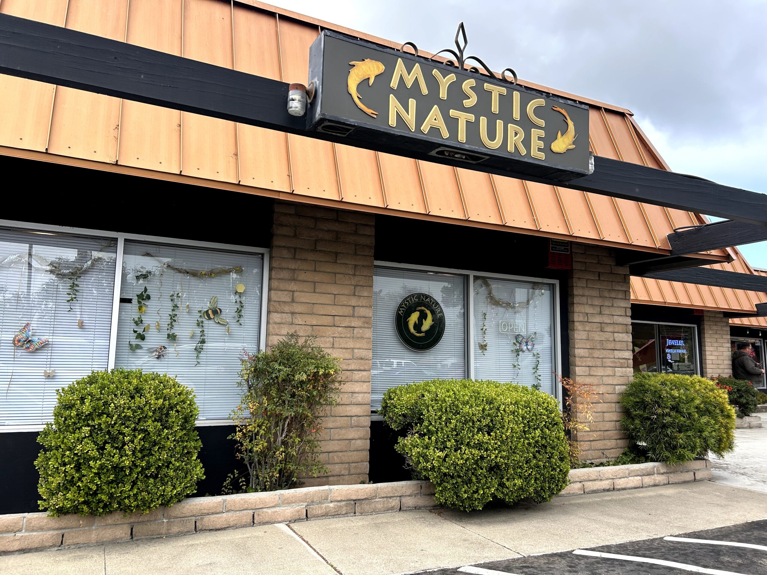 Storefront with a sign reading 'Mystic Nature' and a moon and star logo, surrounded by bushes and windows.