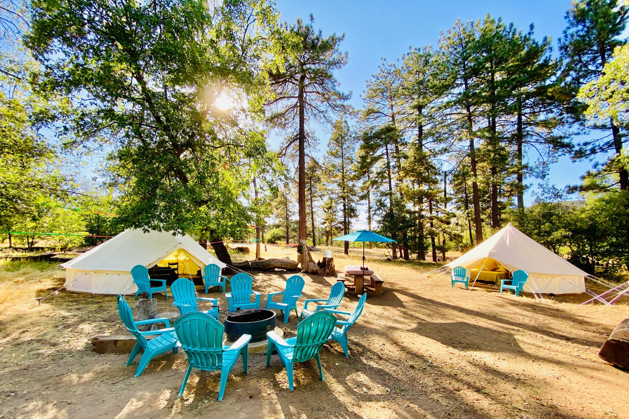 Outdoor campsite with two white tents, blue chairs, and a table under tall trees on sunny day.