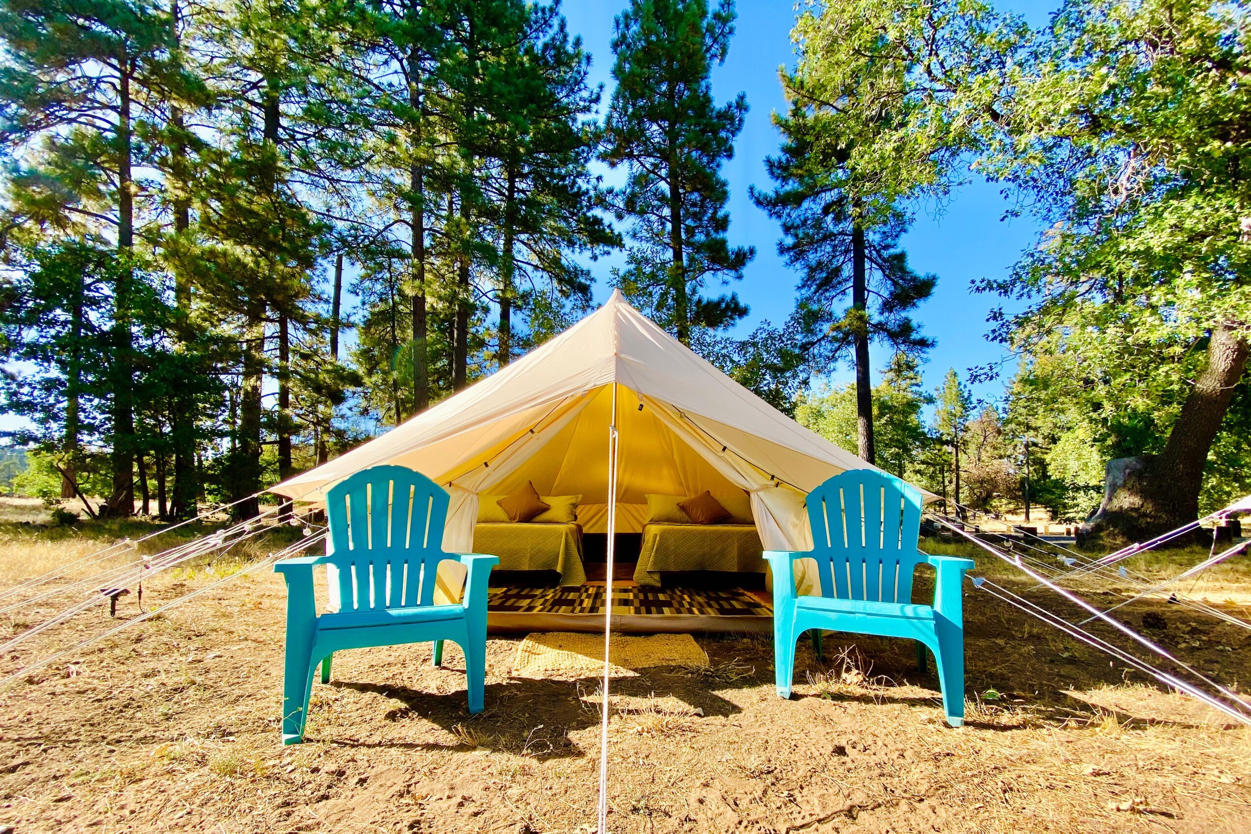 Two blue chairs in front of a white tent in a forest clearing, with trees and blue sky visible.