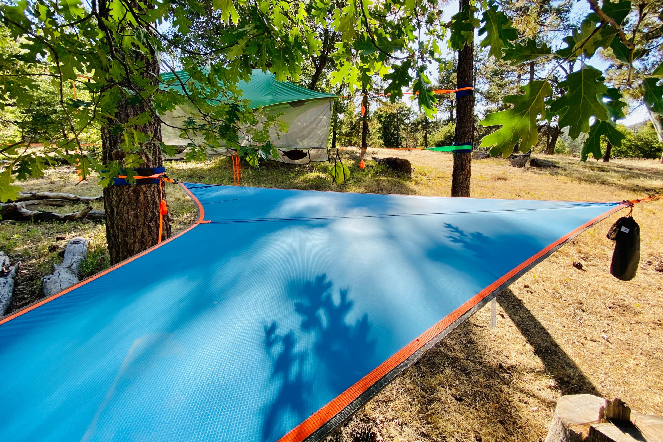 Blue fabric stretched between trees outdoors, with shadows of leaves and branches, and a tent in the background.