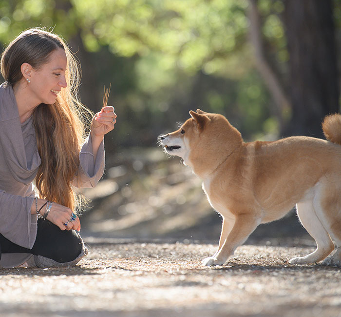 Woman and dog outdoors, woman smiling and holding a treat, dog looking at her, trees in background.