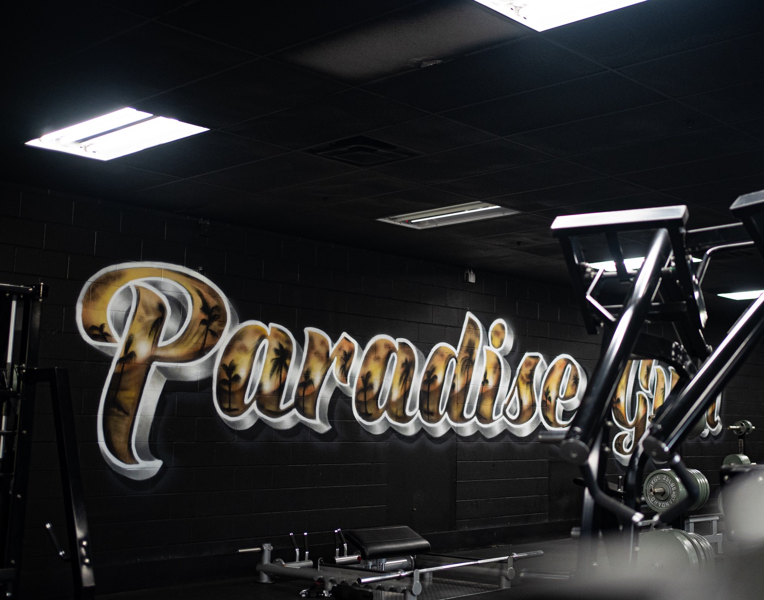 Gym with a black wall and illuminated sign reading 'Paradise' in cursive script, exercise equipment visible.