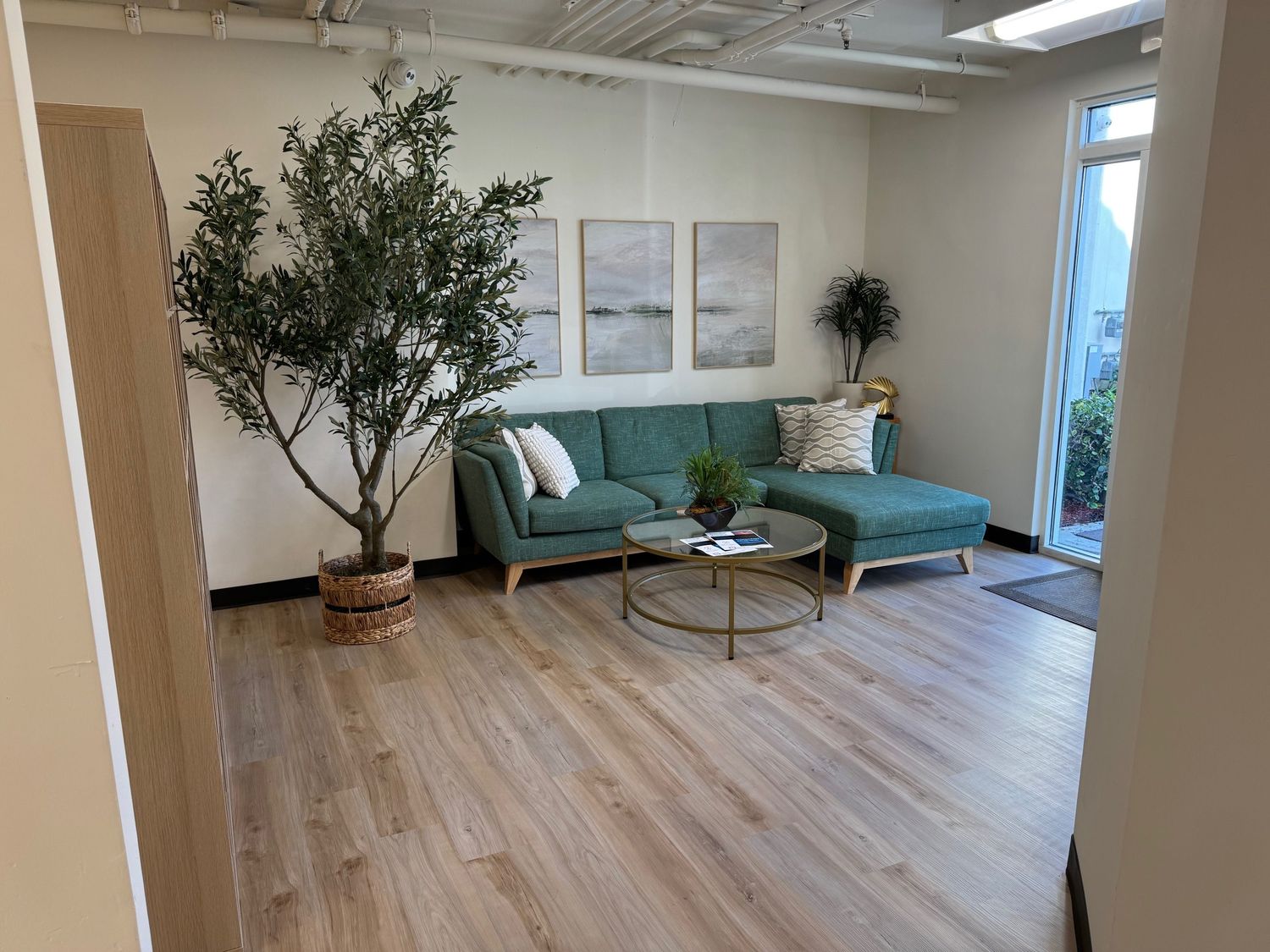 Living room with a green sofa, large potted plant, three wall art pieces, and a glass door, wooden floor.