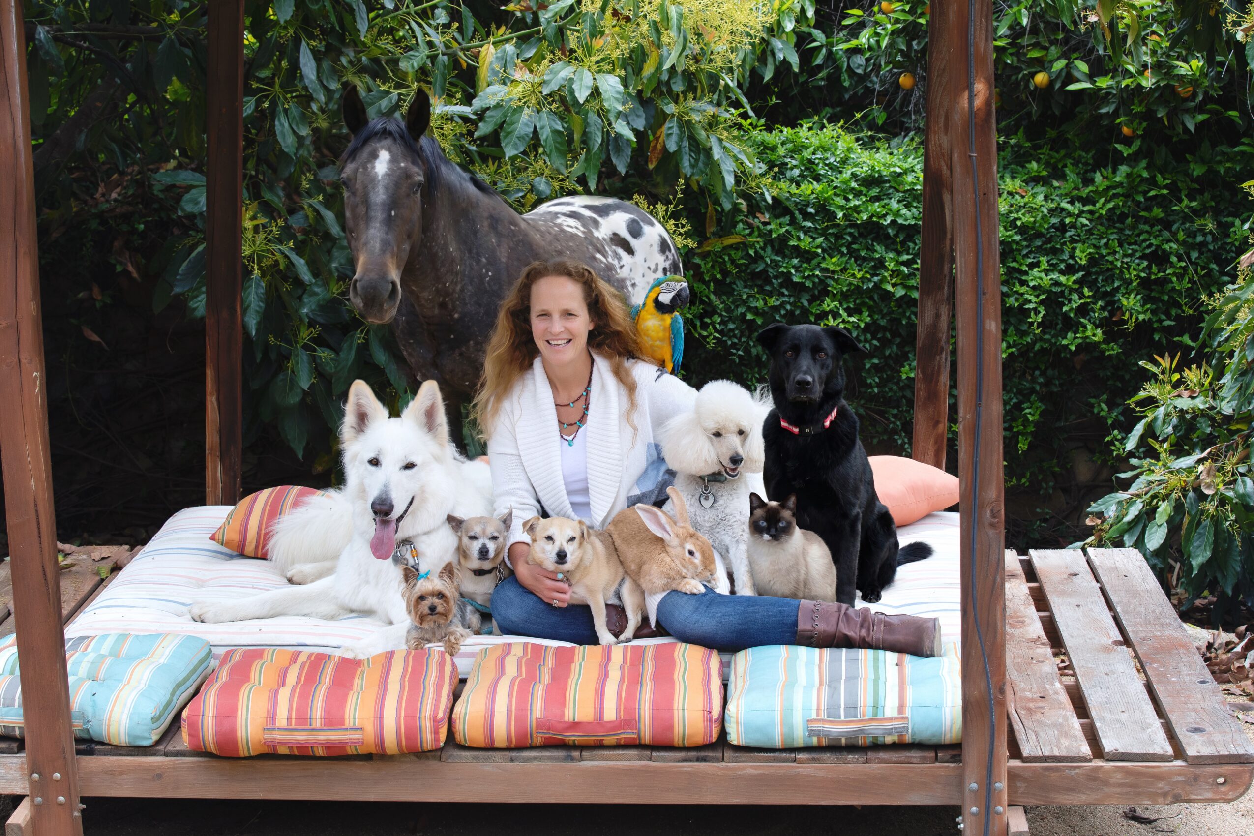 Woman sitting on a bed with dogs and puppies outdoors, surrounded by greenery and wooden structures.