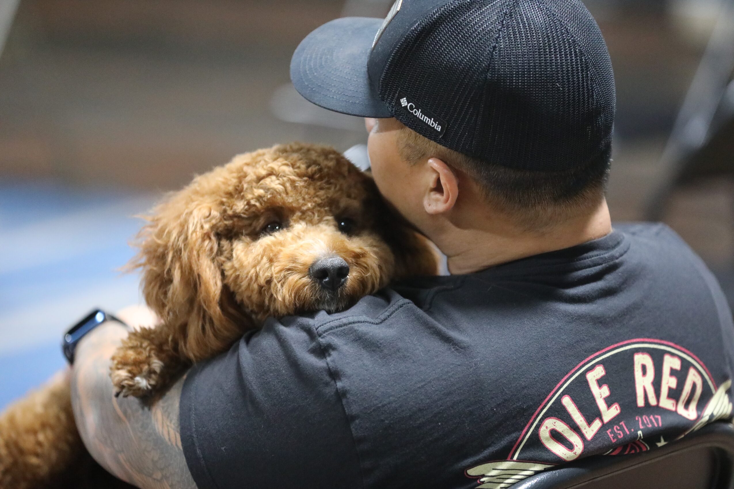 Person holding a small, curly-haired dog close, with their face near the dog, in an indoor setting.