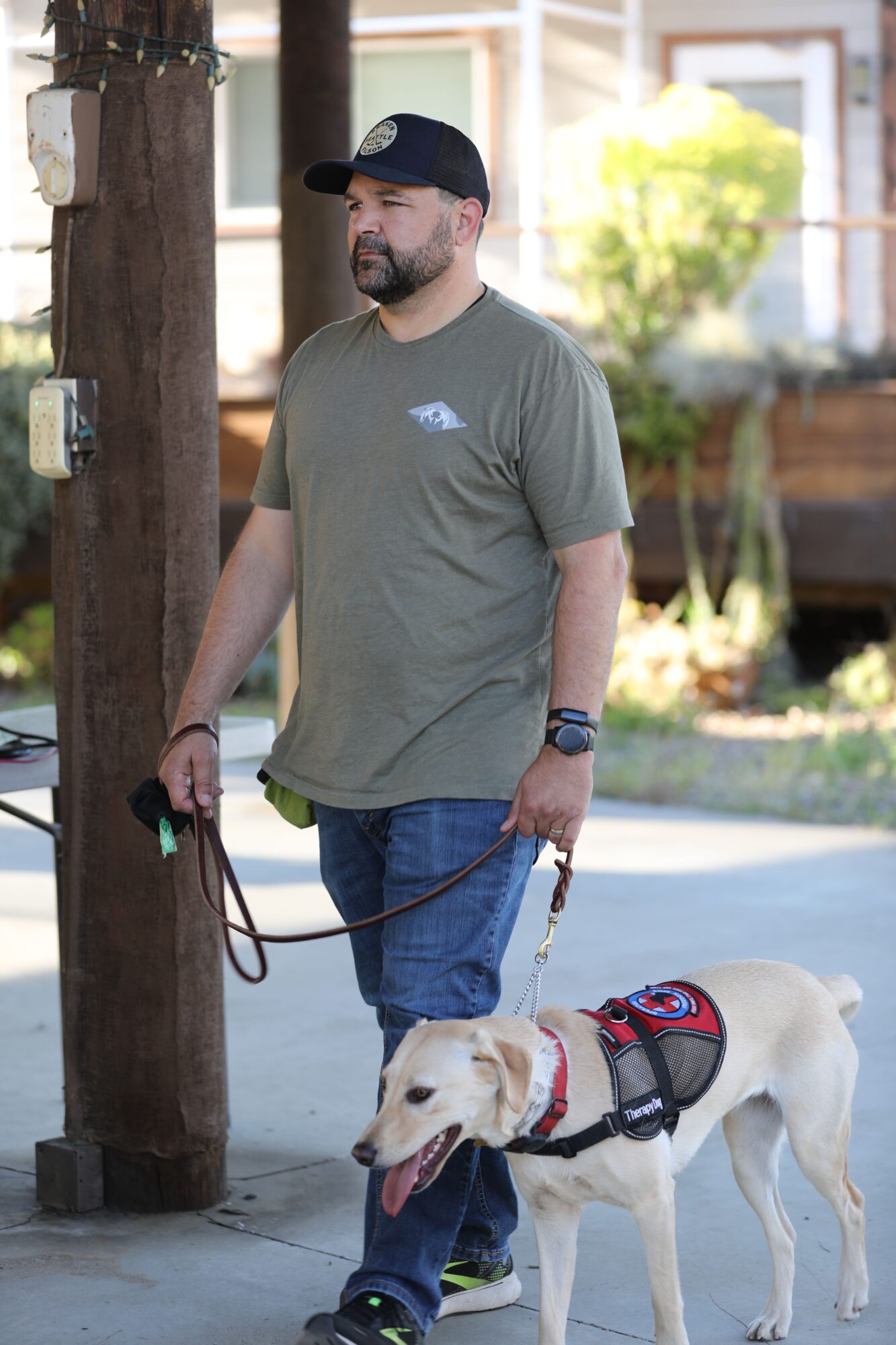 Person walking a dog on a leash outdoors, with a wooden post and trees in the background.