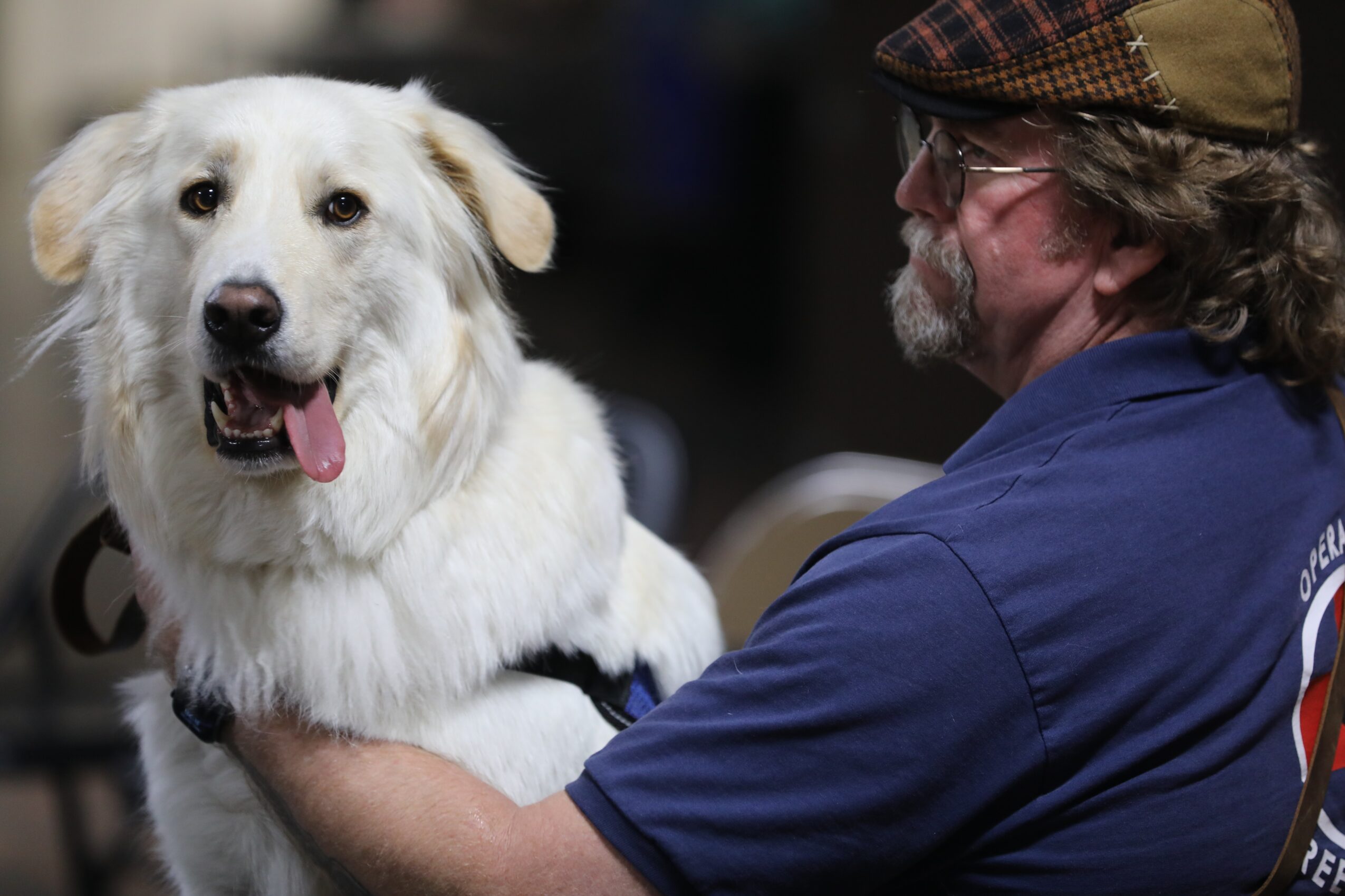 Man holding a white dog with a happy expression, tongue out, in an indoor setting.