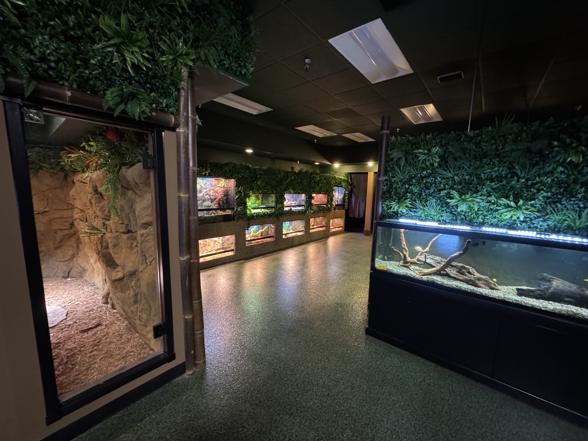Indoor exhibit with glass tanks and green plants, featuring a large tank with a snake, and a display case with reptiles.