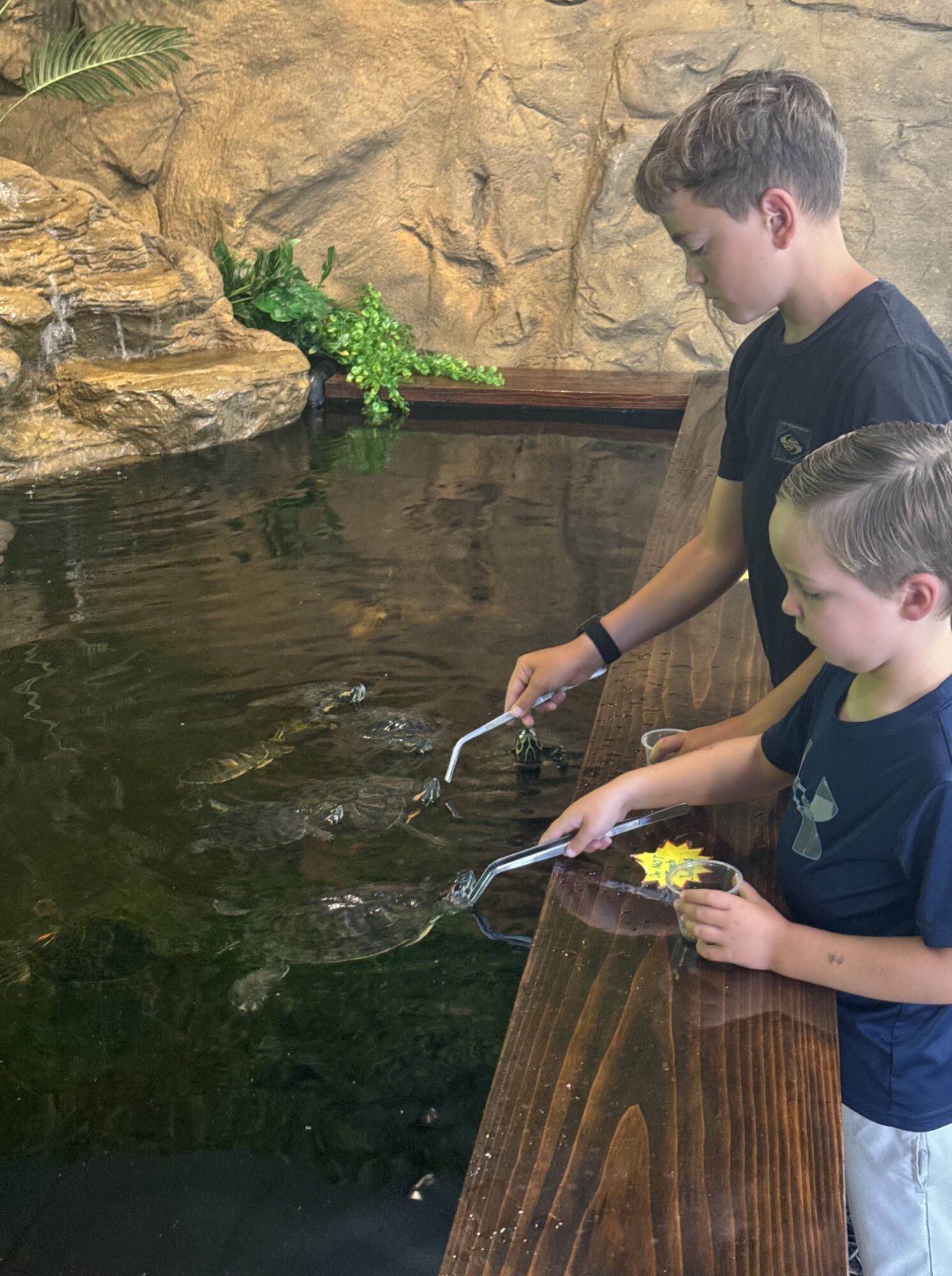 Two children lean over a wooden water feature, holding tools and collecting water, with a rock wall and green plant nearby.