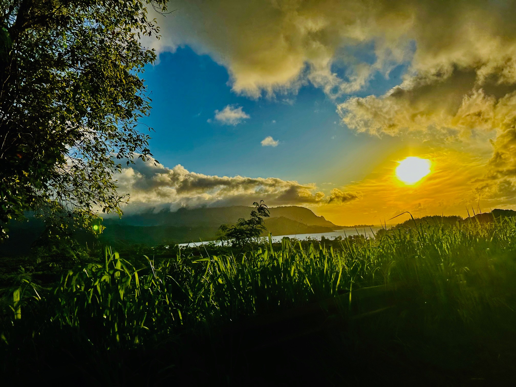 Sunset over a landscape with green grass, trees, and a cloudy sky, with the sun near the horizon.