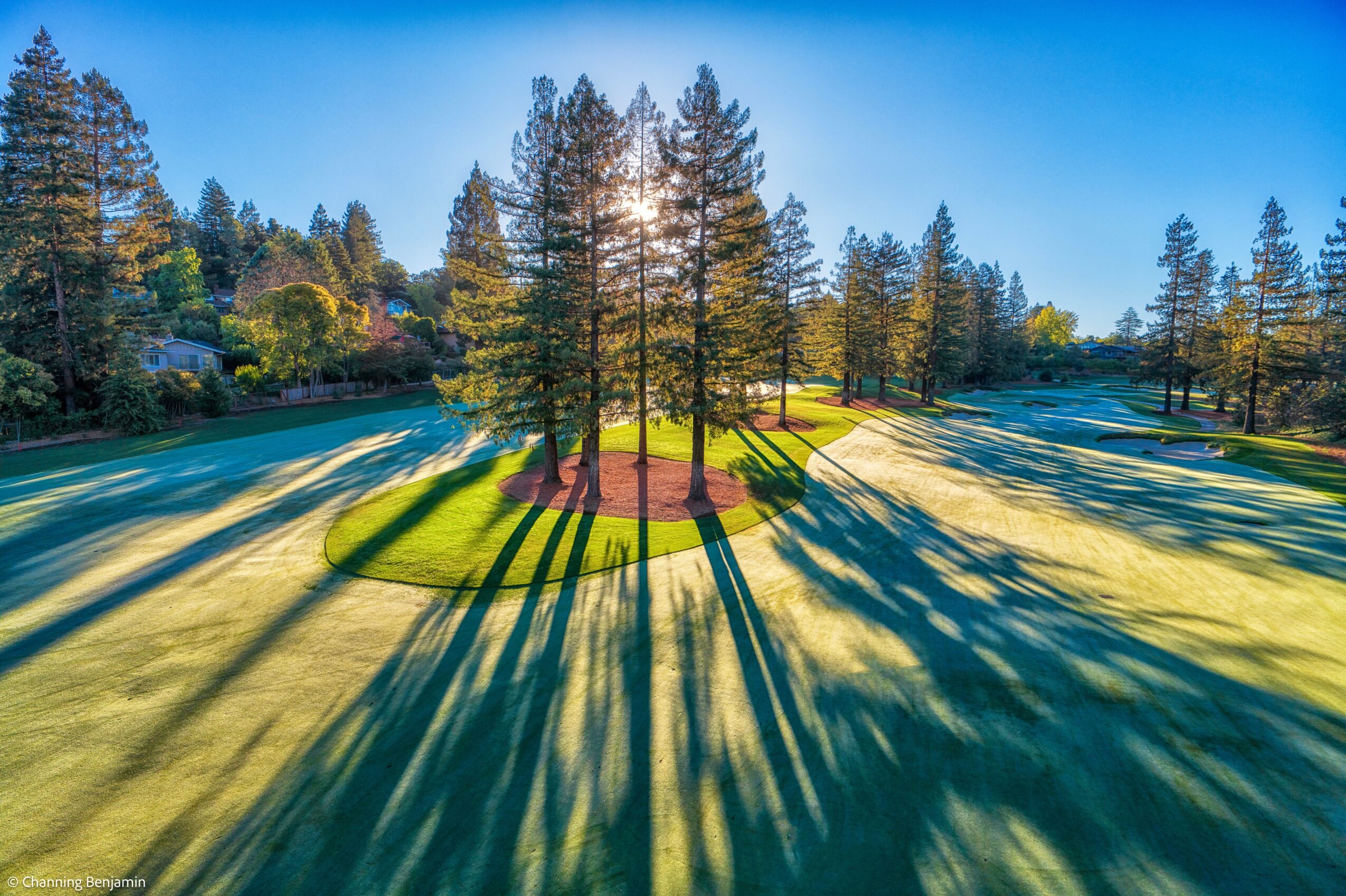 Sunlight filters through tall trees casting long shadows on a grassy area with a circular pathway, clear blue sky above.