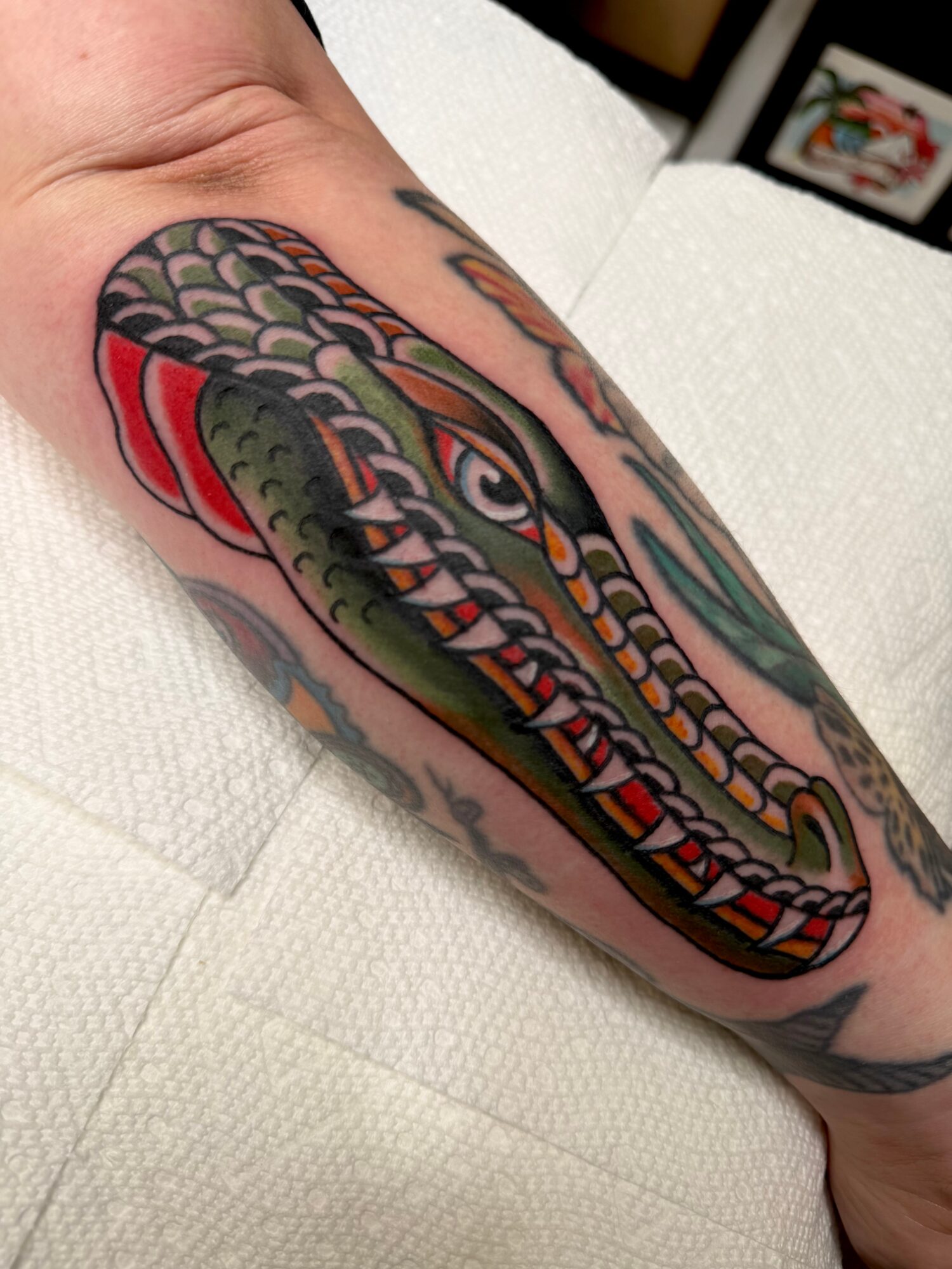 Colorful snake tattoo with detailed scales and patterns on person's arm, with framed picture in background.