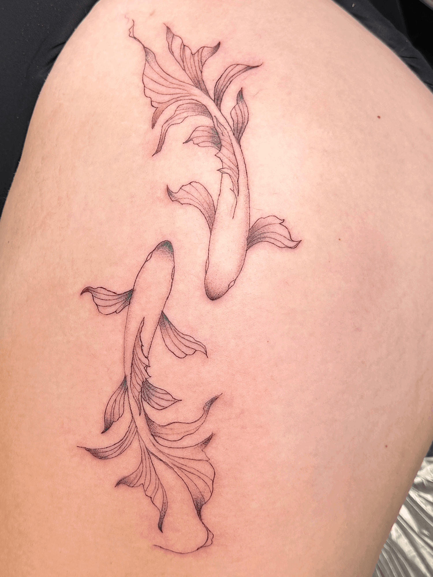 Line drawing of two fish with flowing fins and tails, arranged vertically on skin.