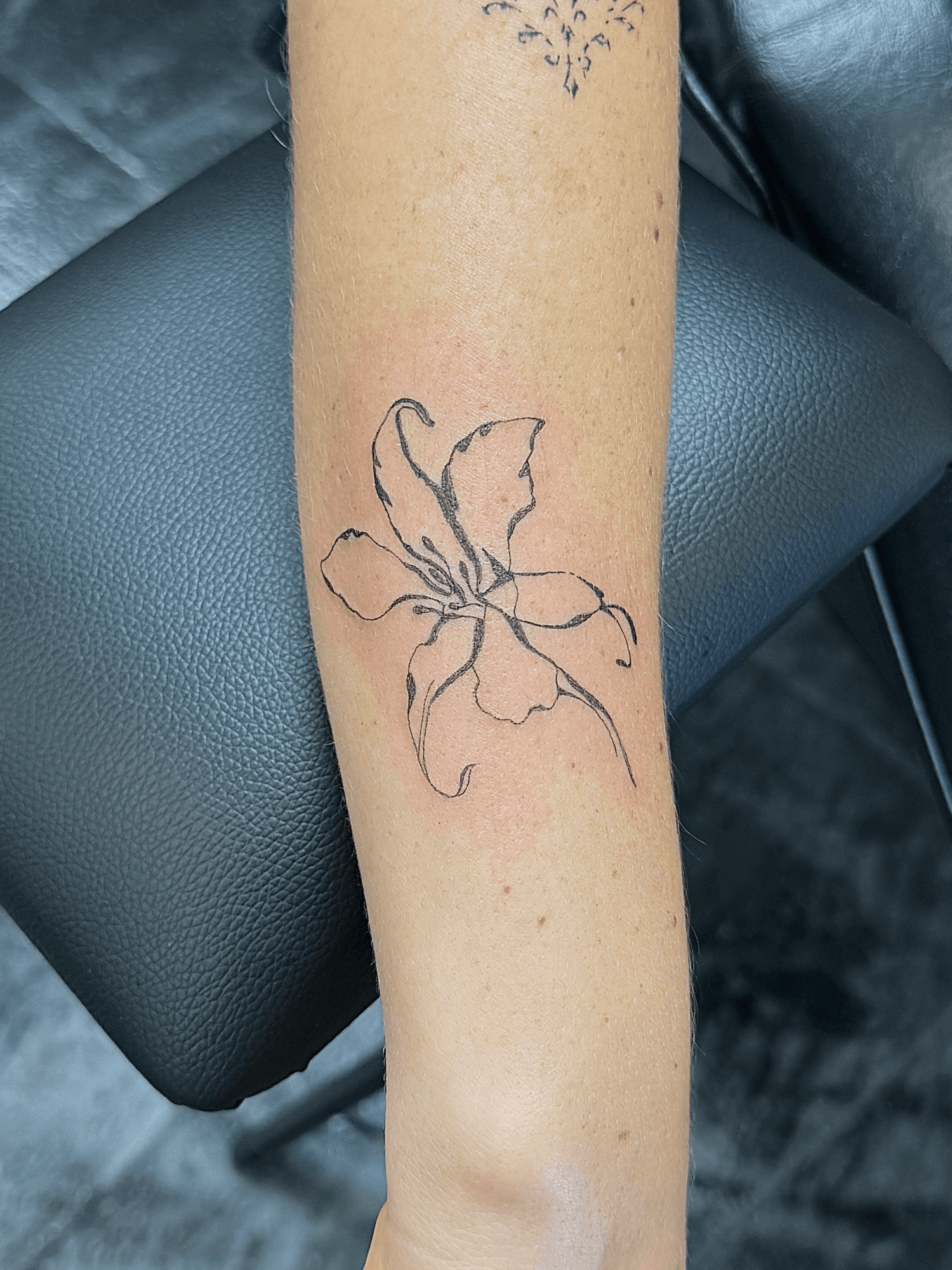 Line drawing of a flower with large petals and a ribbon tied around the stem, on a person's forearm.