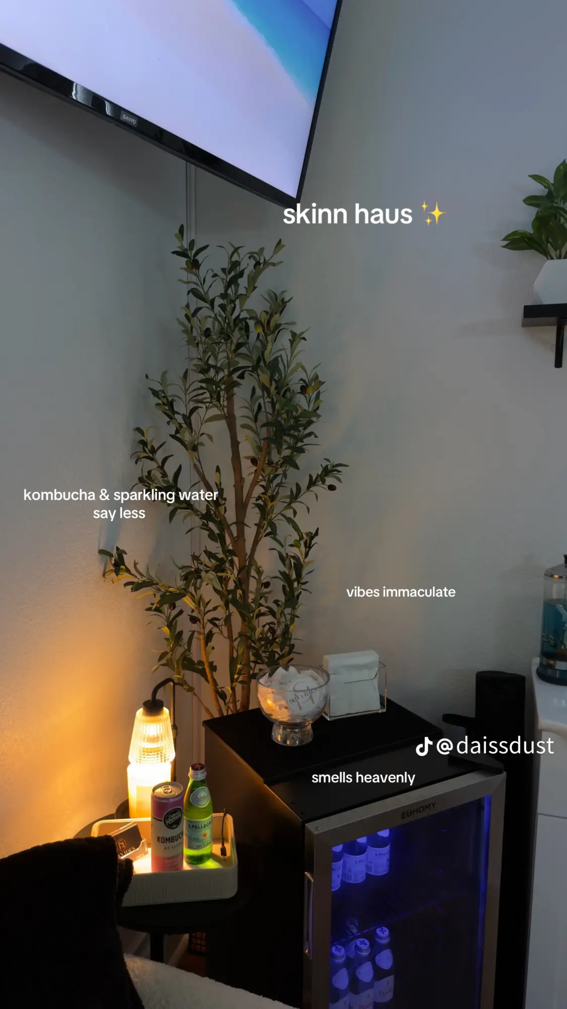 Indoor scene with a tall plant, a TV, and a small table with bottles and a tissue box, illuminated softly.