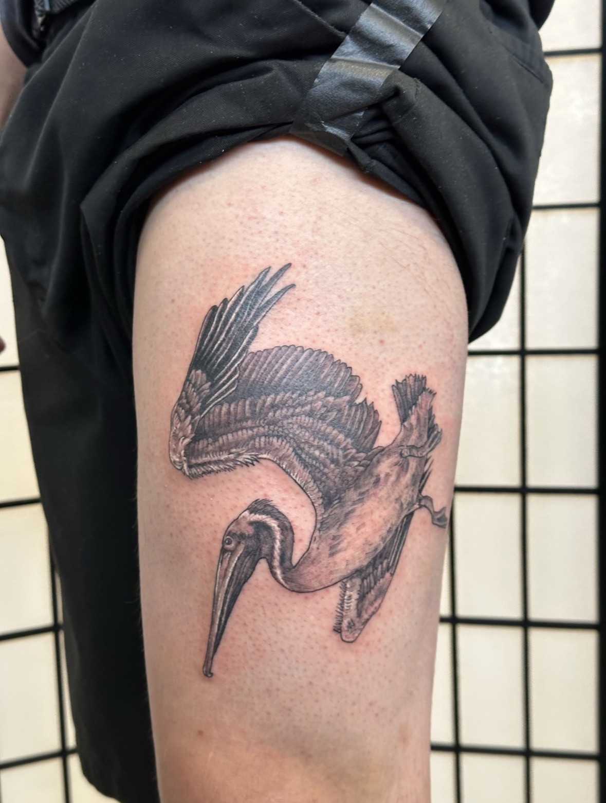 Tattoo of a bird with outstretched wings on person's thigh, with a background of a grid pattern.