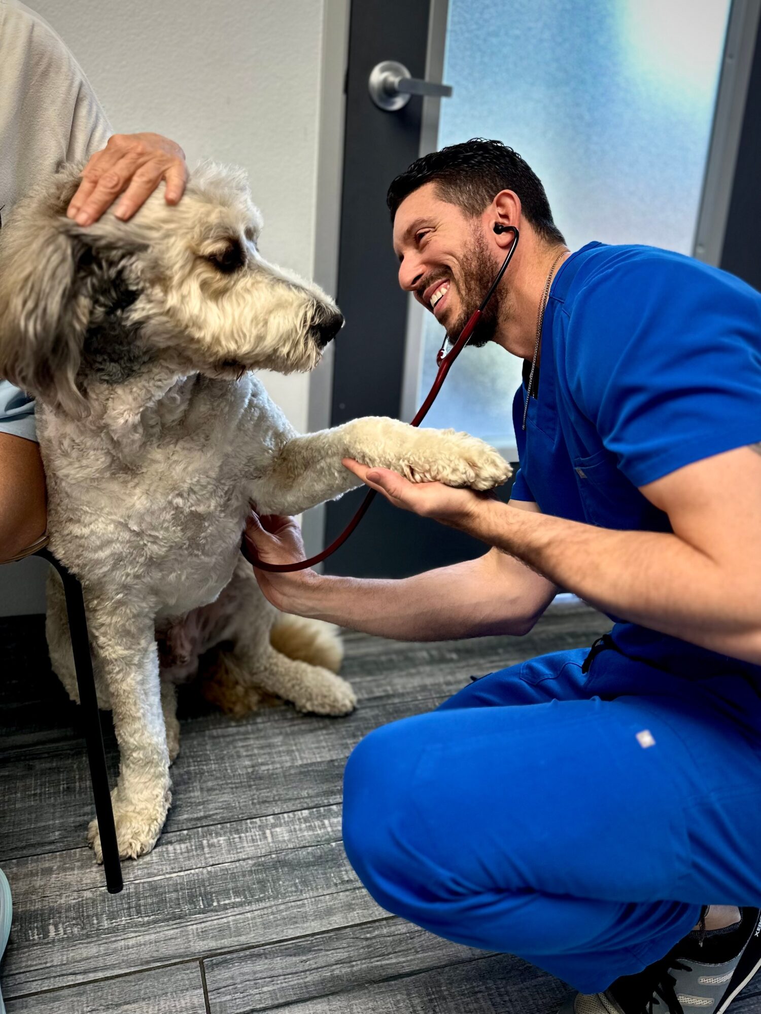 Vet and owner with dog in clinic, vet smiling, dog sitting, owner holding dog's paw, medical setting, bright lighting.